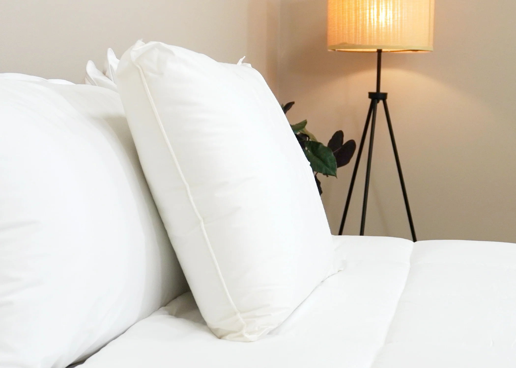 Best Western® Aurora Pillow | Medium Polyester Pillow - Image 9