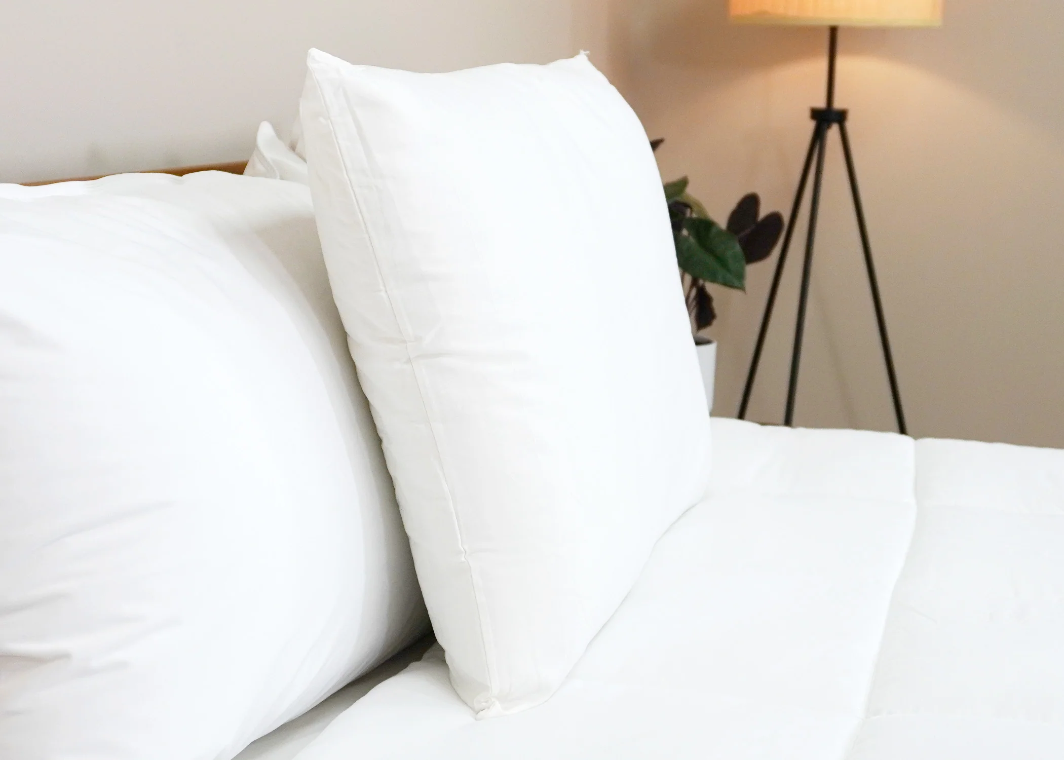 The Pillow Factory Housekeeper's Choice Heavenly Spiral Pillow- Featured at Many Borgata Hotel Casino & Spa<sup>®</sup> - Image 3