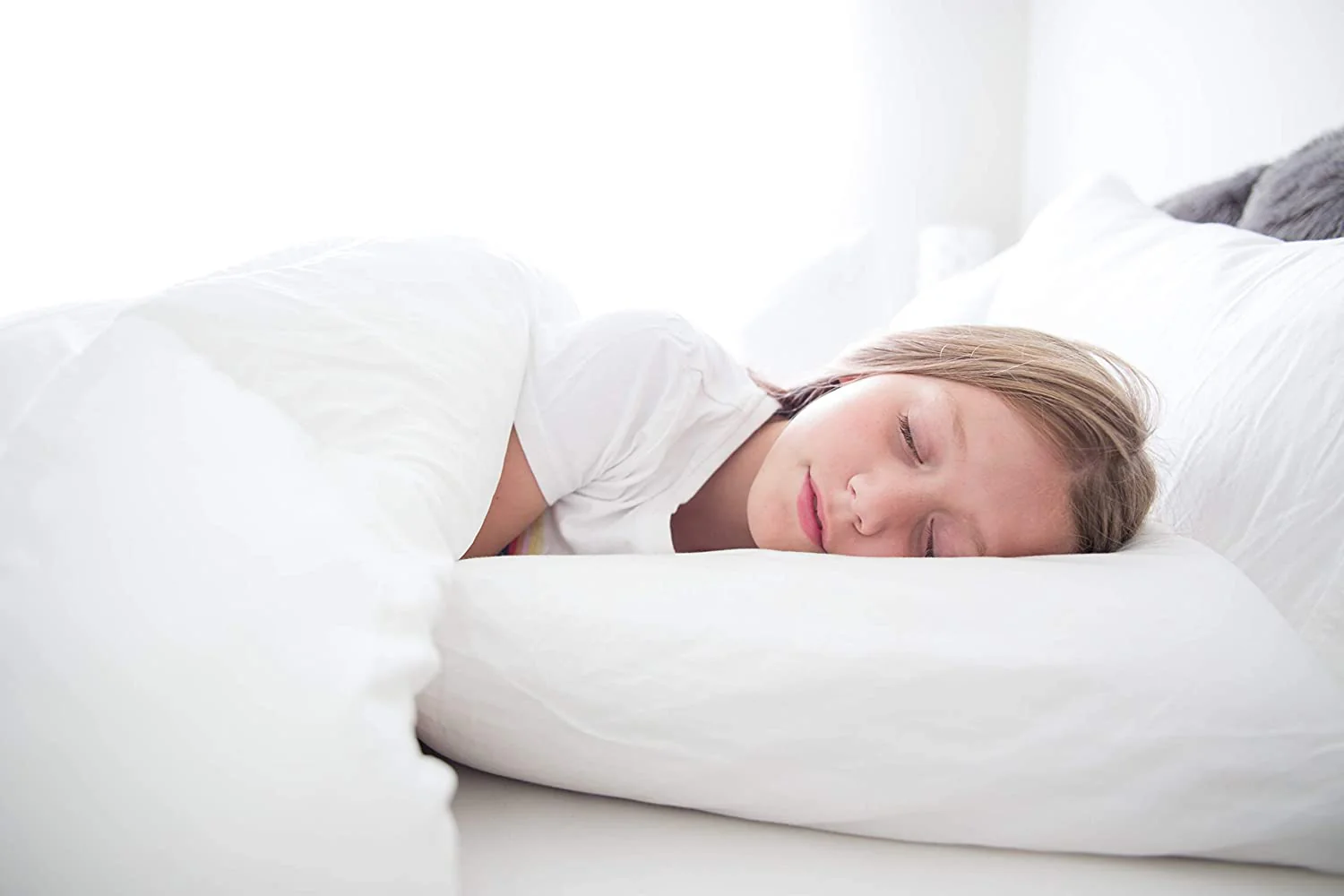 Creative Bedding Fossfill Pillow | Antibacterial - Image 14