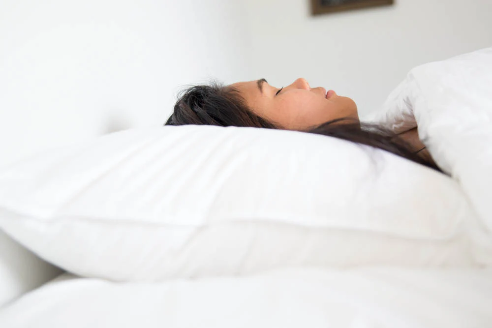 Down Etc. 50% White Goose Down / 50% White Goose Feather Pillow - Image 4