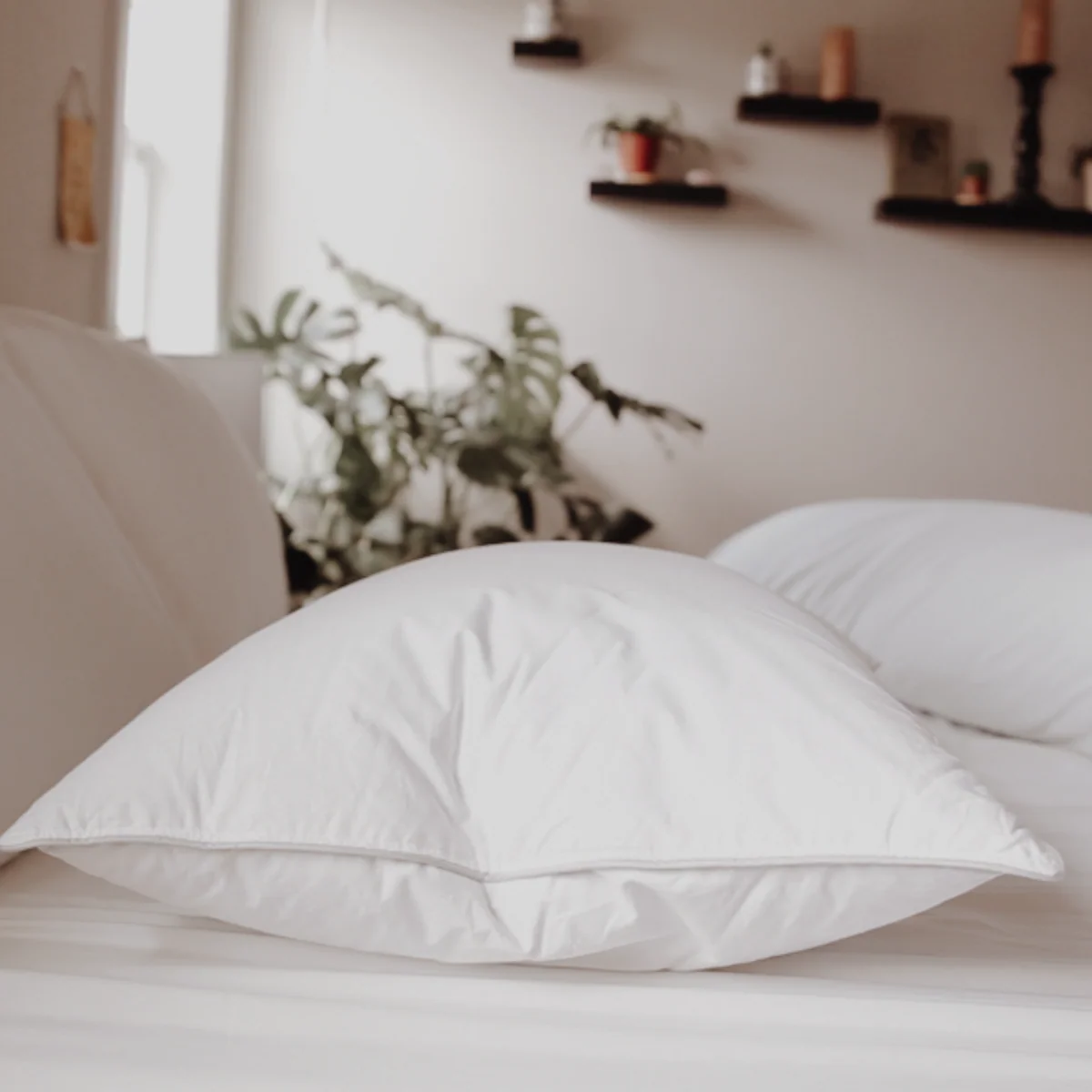 Down Dreams Classic Firm Pillow, Formerly Classic Too - Image 11