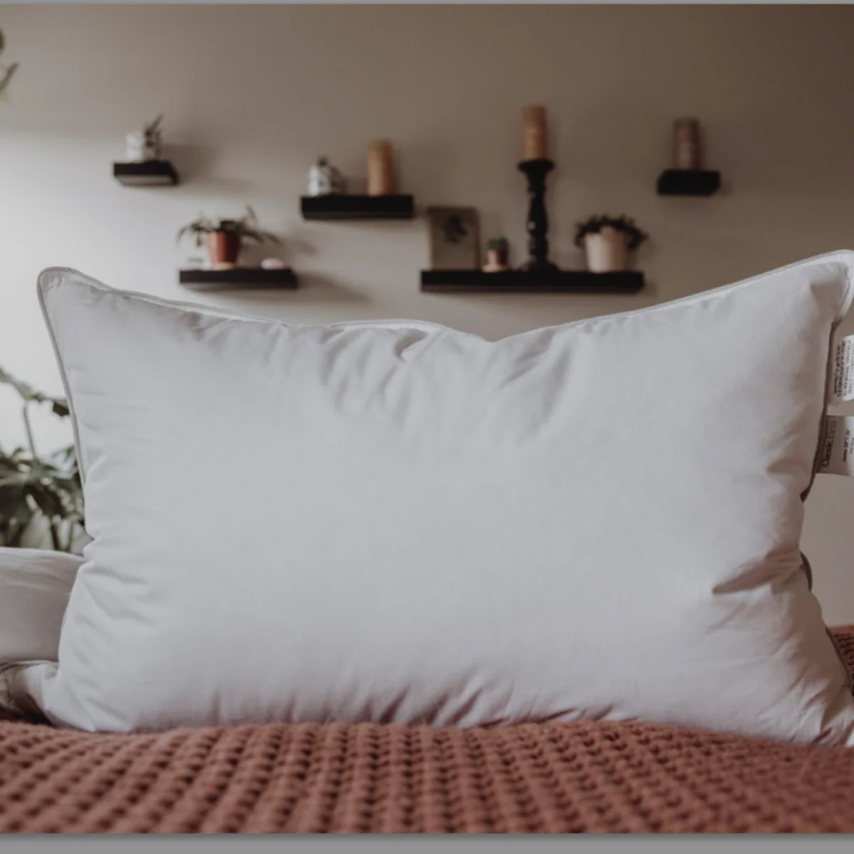 Down Dreams Classic Firm Pillow, Formerly Classic Too - Image 13