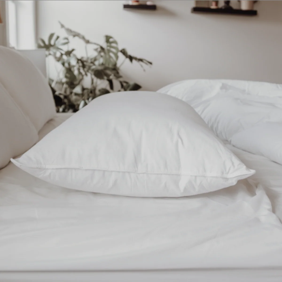 Down Dreams Classic Soft Pillow, Featured at Many Hotels - Image 12