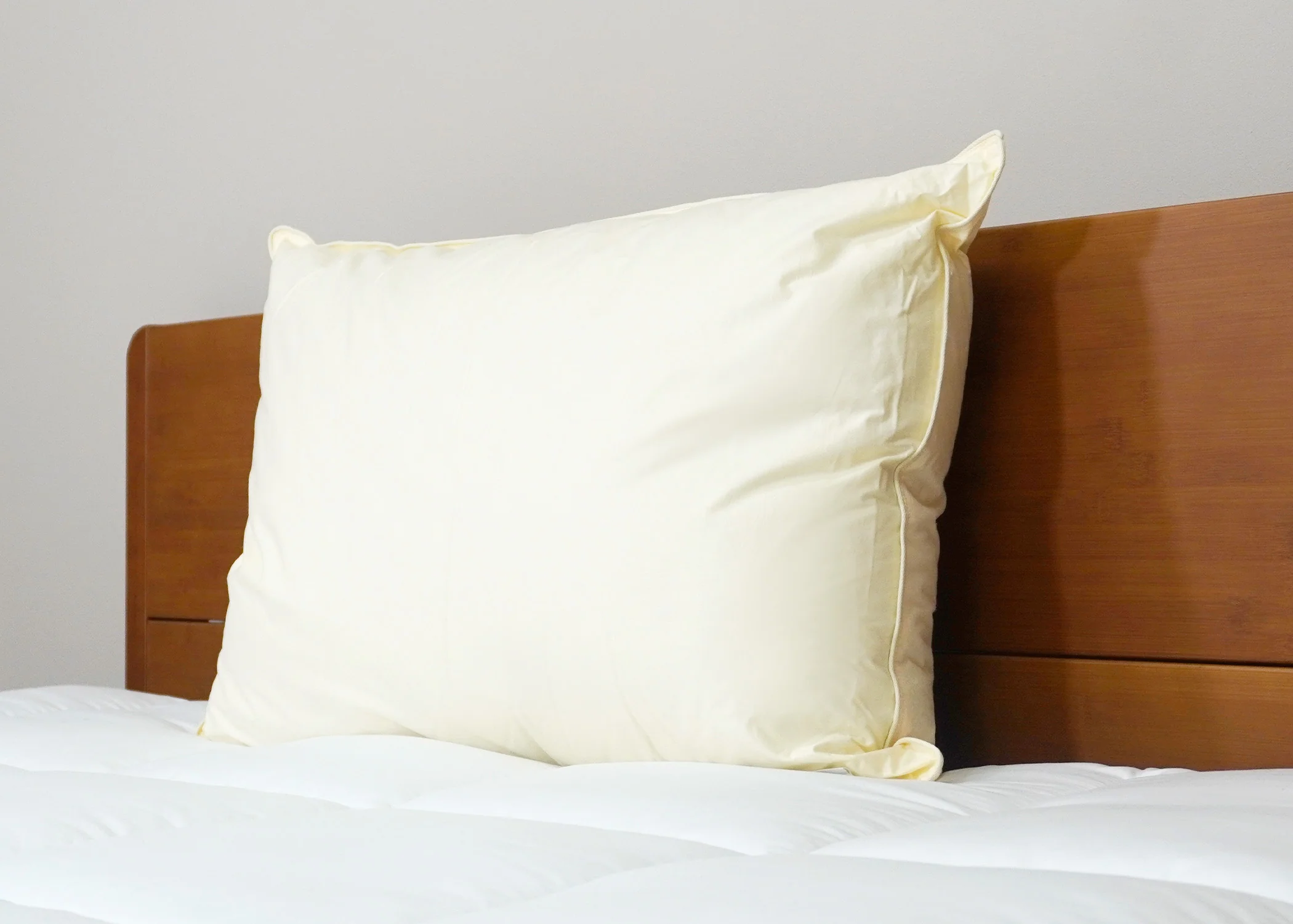 Down Etc. Aquaplush Pillow - Image 10