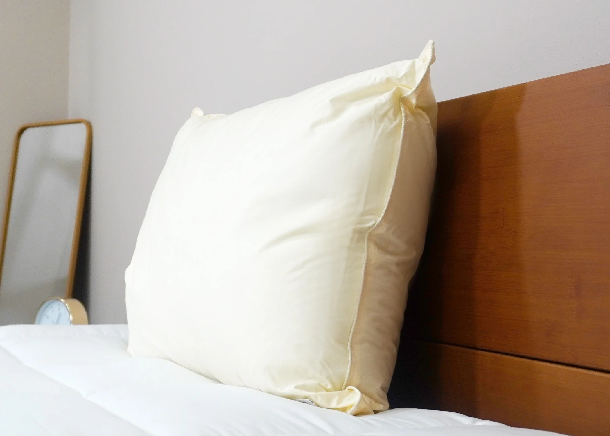 Down Etc. Aquaplush Pillow - Image 3