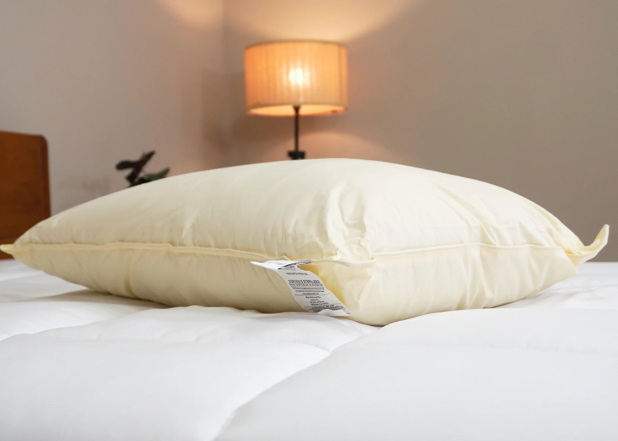 Down Etc. Aquaplush Pillow - Image 4