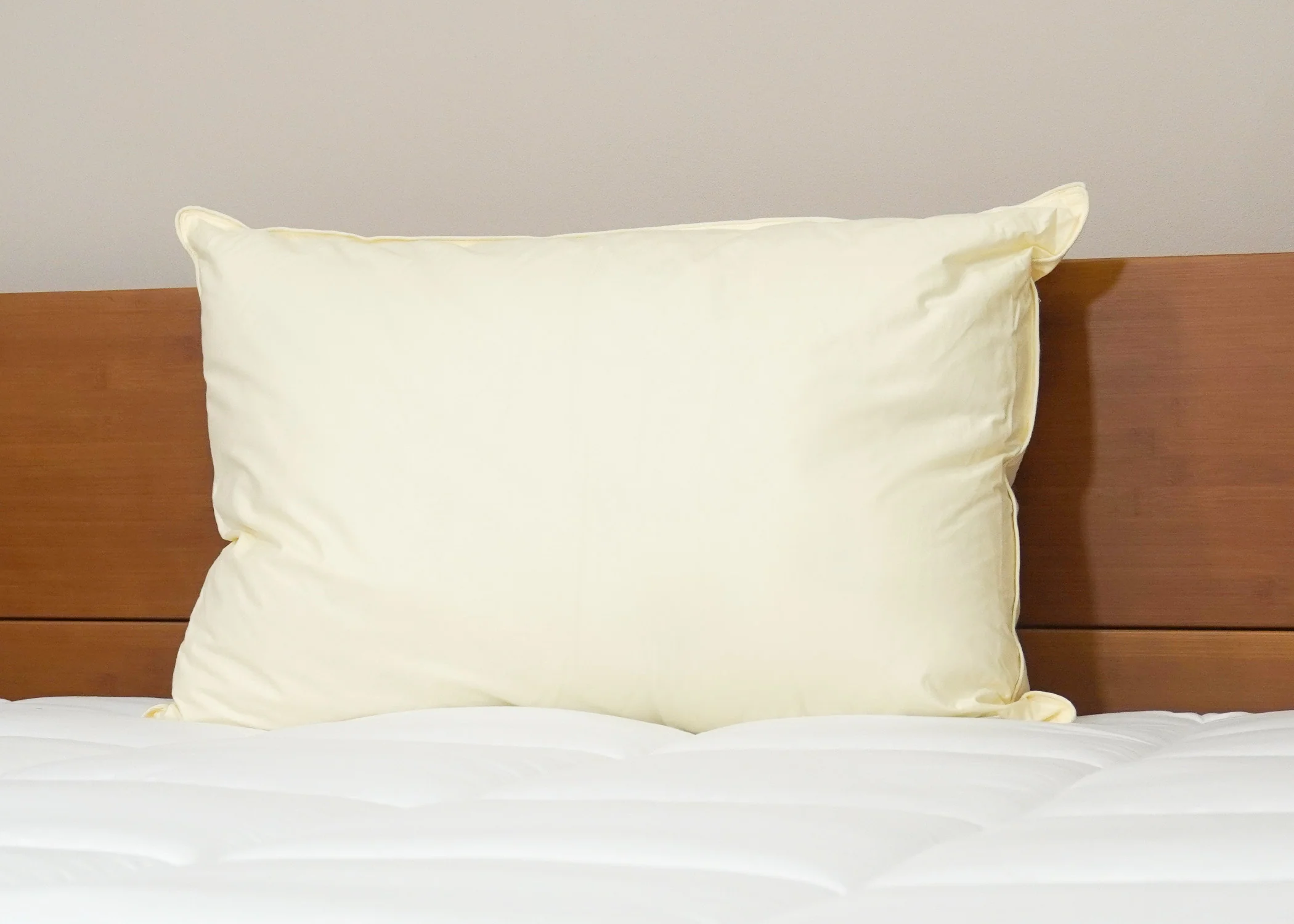 Down Etc. Aquaplush Pillow - Image 5