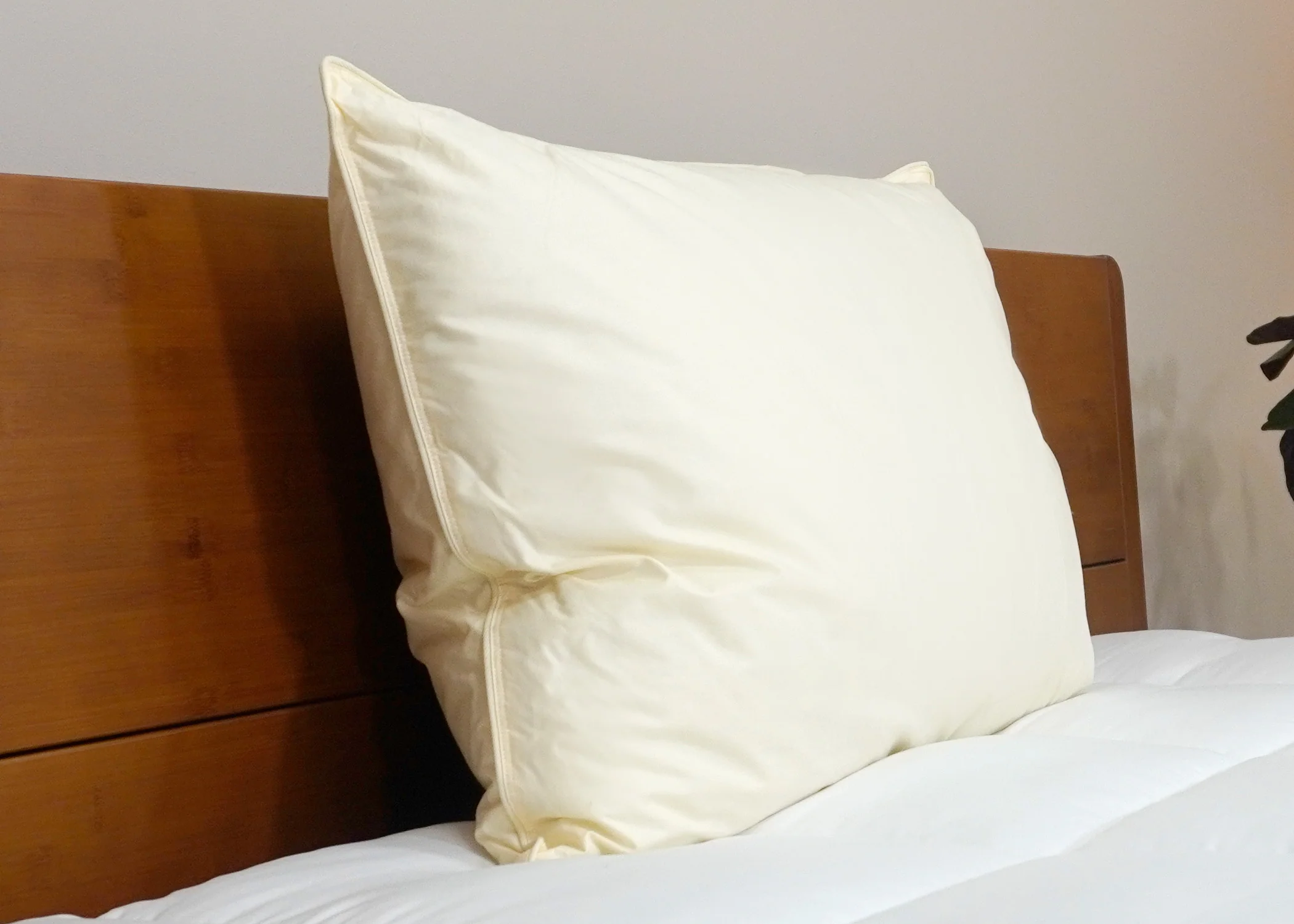 Down Etc. Aquaplush Pillow - Image 6
