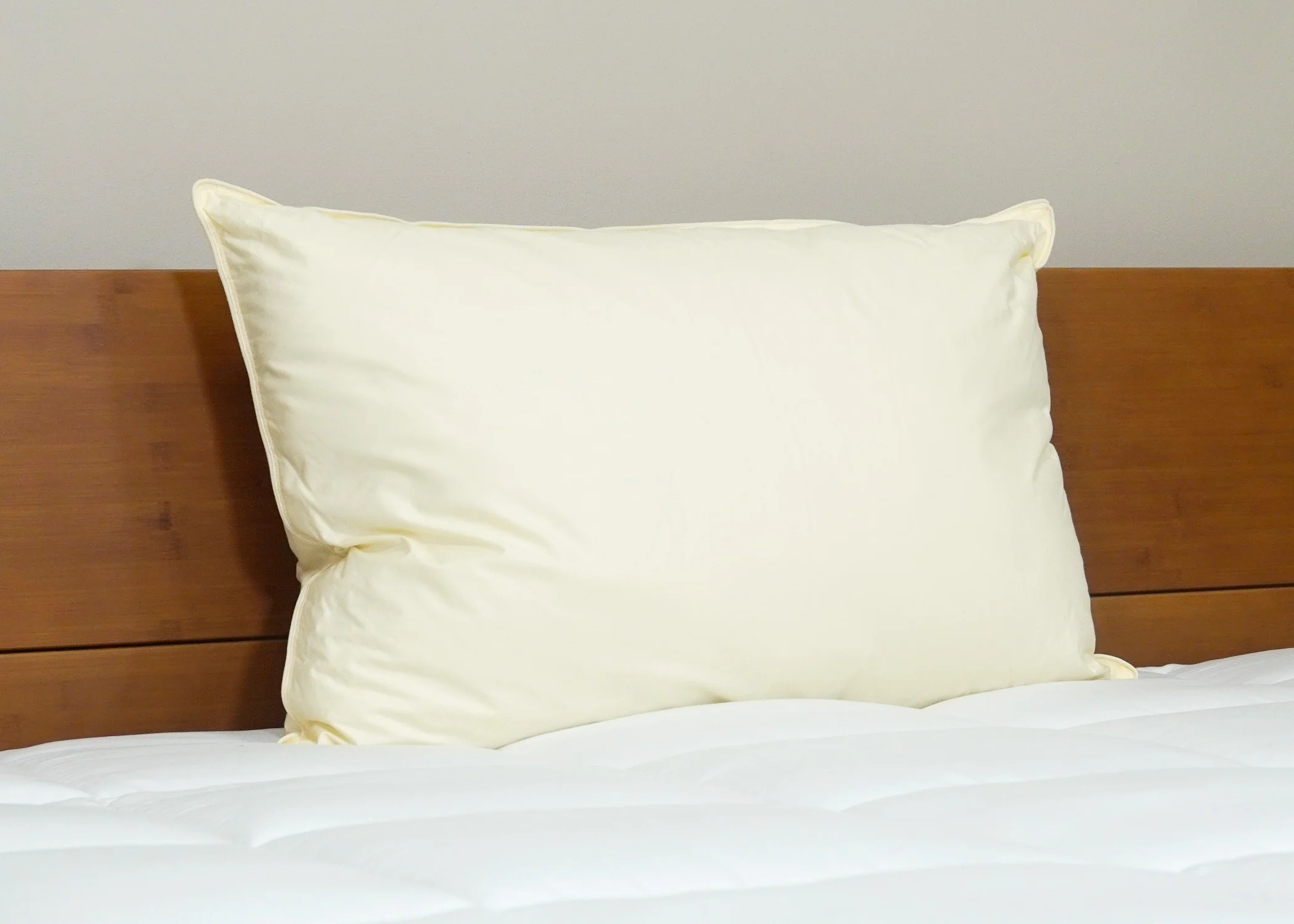 Down Etc. Aquaplush Pillow - Image 7