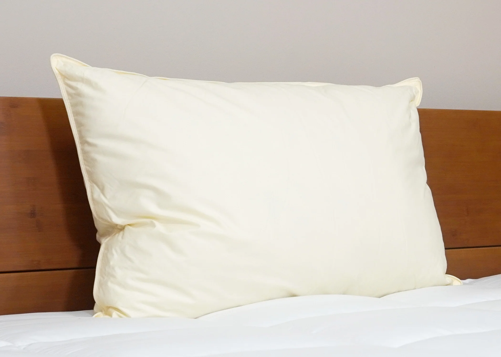 Down Etc. Aquaplush Pillow - Image 9