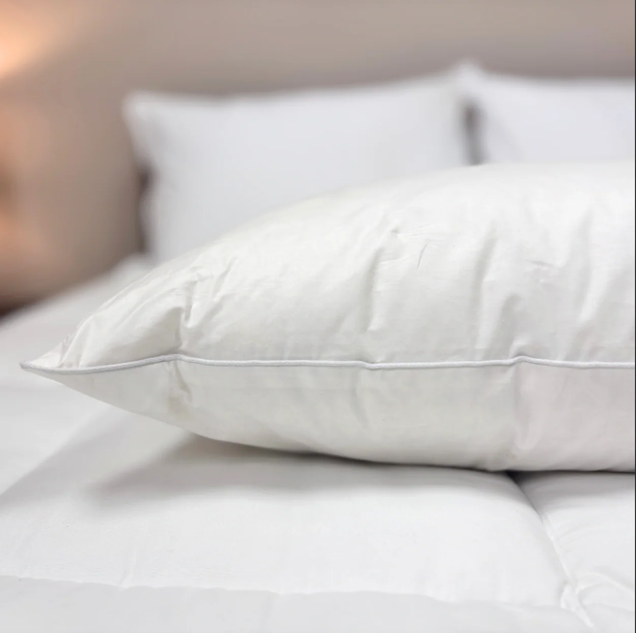 Downlite 75/25 Waterfowl Feather/ White Down Pillow - Image 5