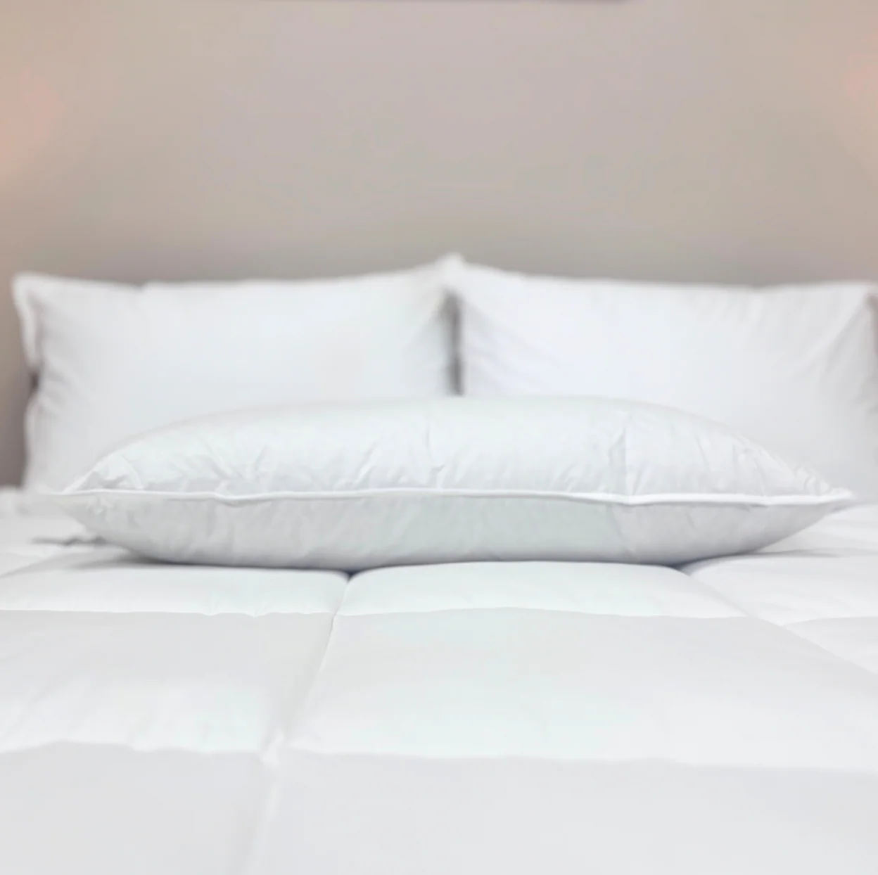 Downlite 50/50 Waterfowl Feather/Grey Down Pillow - Image 6