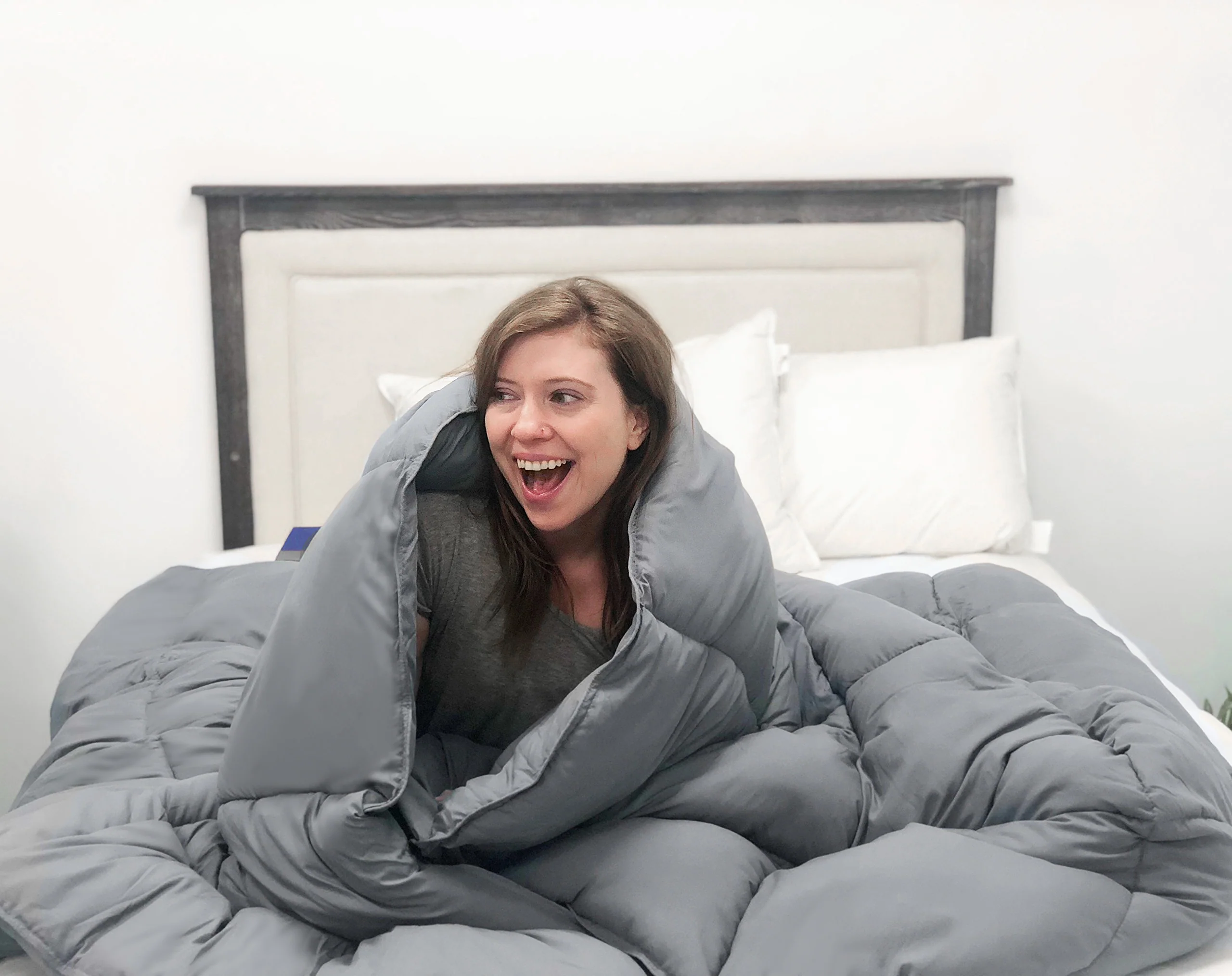 Pillowtex Dream in Color Comforter | All Season Weight with Soft Polyester Cover and Fill - Image 13