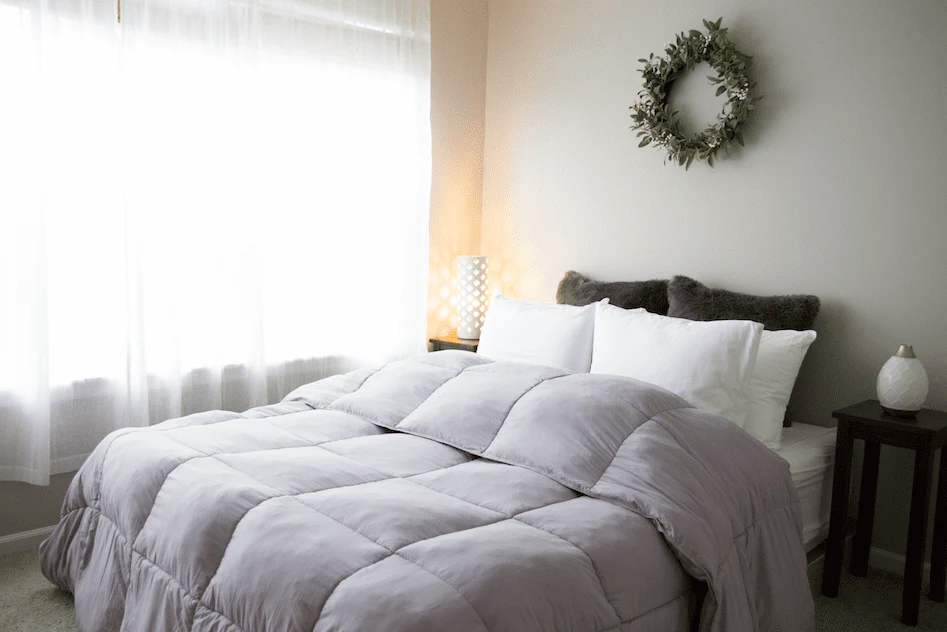 Pillowtex Dream in Color Comforter | All Season Weight with Soft Polyester Cover and Fill - Image 3