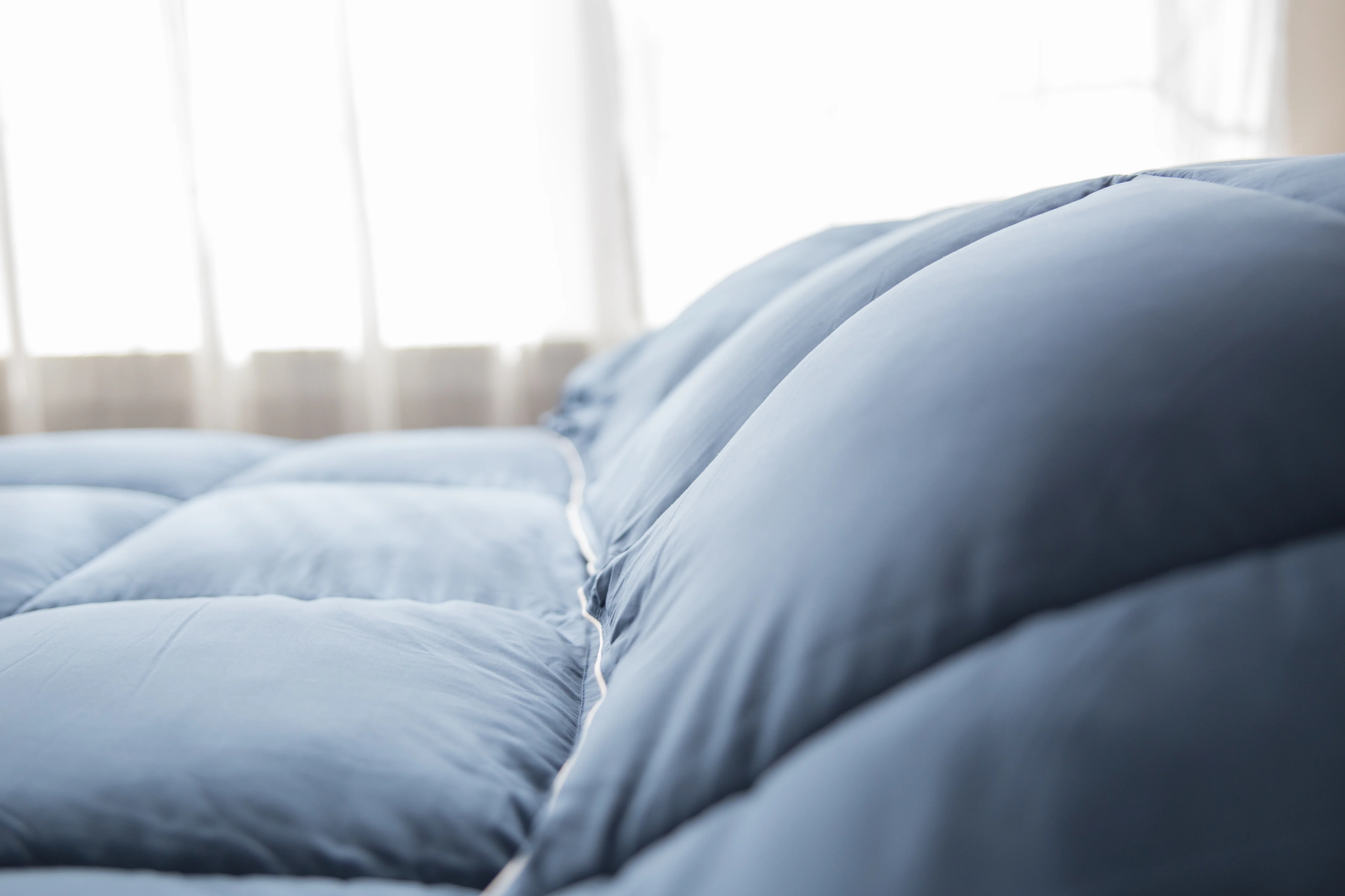 Pillowtex Dream in Color Comforter | All Season Weight with Soft Polyester Cover and Fill - Image 7