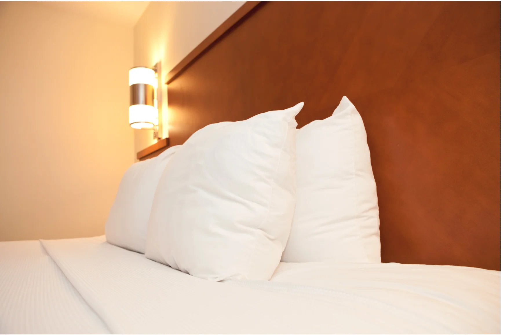 Extra Plump DuPont Polyester Pillow by The Pillow Factory | High Loft - Image 3