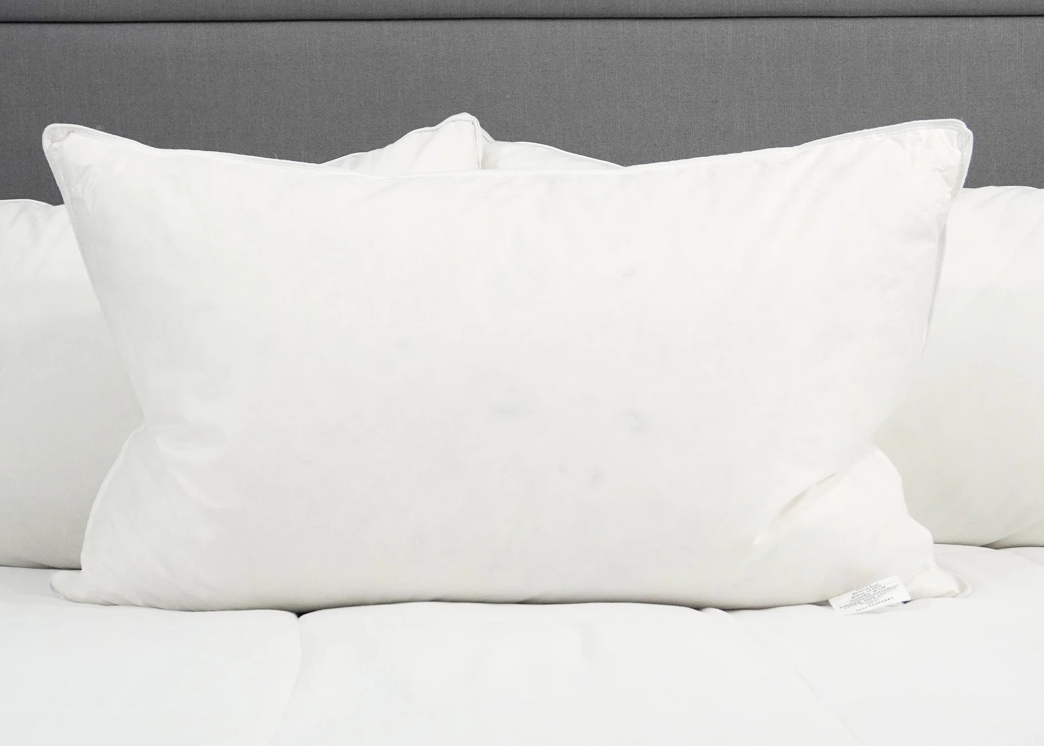 Down Etc. Rhapsody Wrap Down/Feather Pillow- Featured at Many Hyatt® Hotels - Image 3