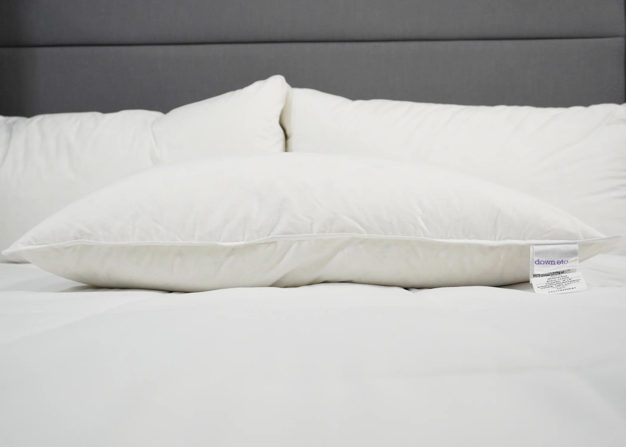 Down Etc. Rhapsody Wrap Down/Feather Pillow- Featured at Many Hyatt® Hotels - Image 6