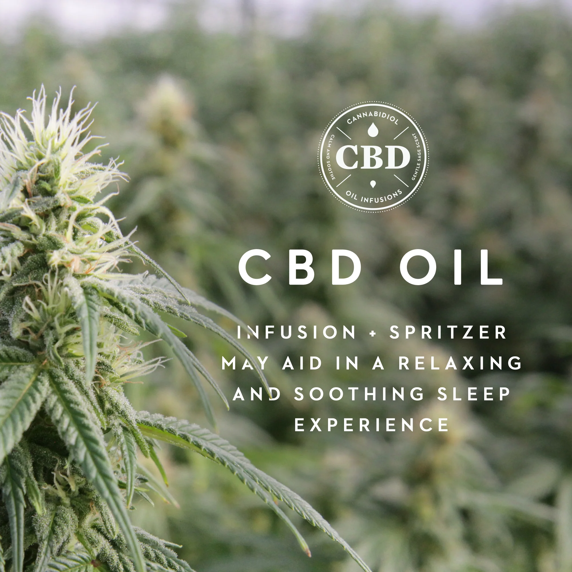 Malouf Zoned ActiveDough™ + CBD Oil Pillow - Image 5