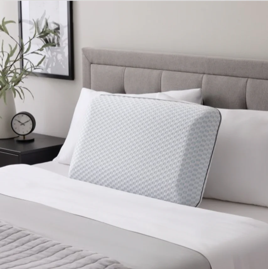 EverRest Bamboo Charcoal Pillow + Cooling Cover