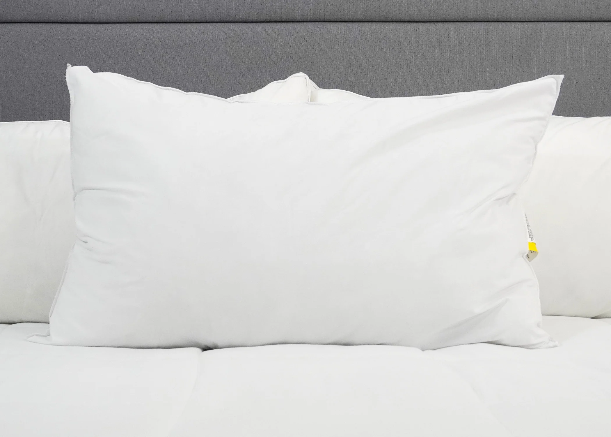 Martex Brentwood Gold Pillows - Featured at Many Hotels - Image 5