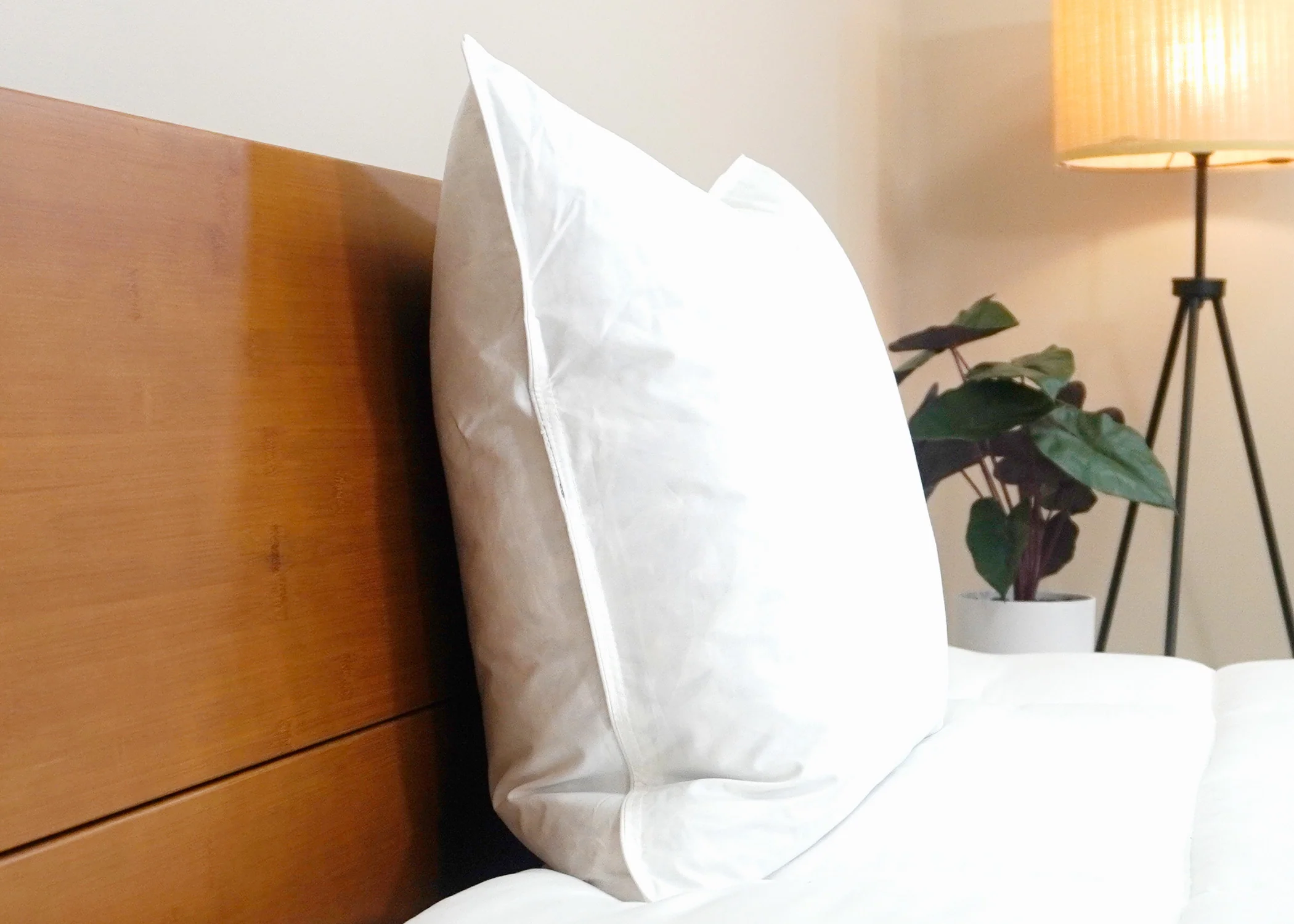 Pacific Coast® Natural Feather Pillow - Image 10