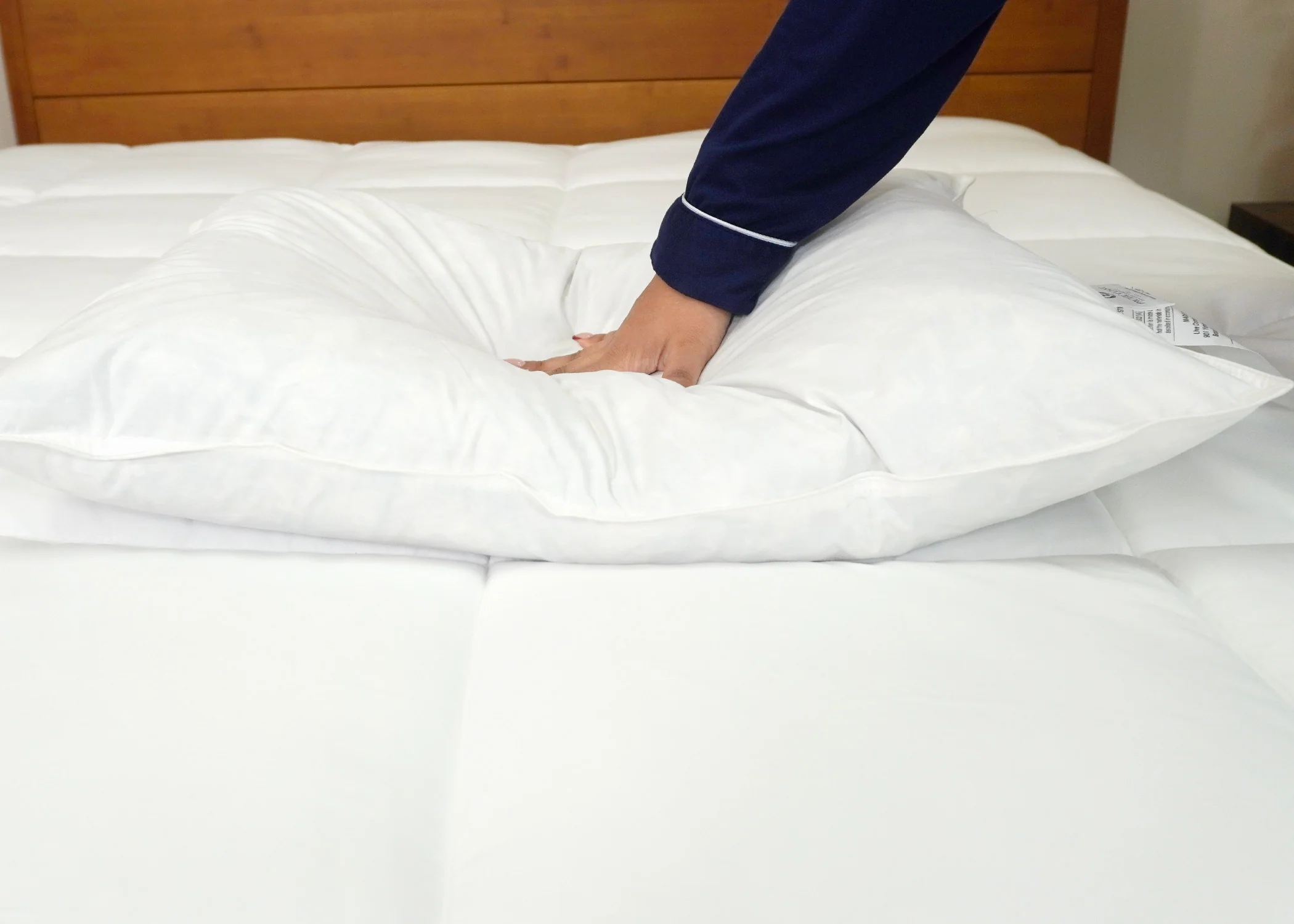 Pacific Coast® Natural Feather Pillow - Image 15
