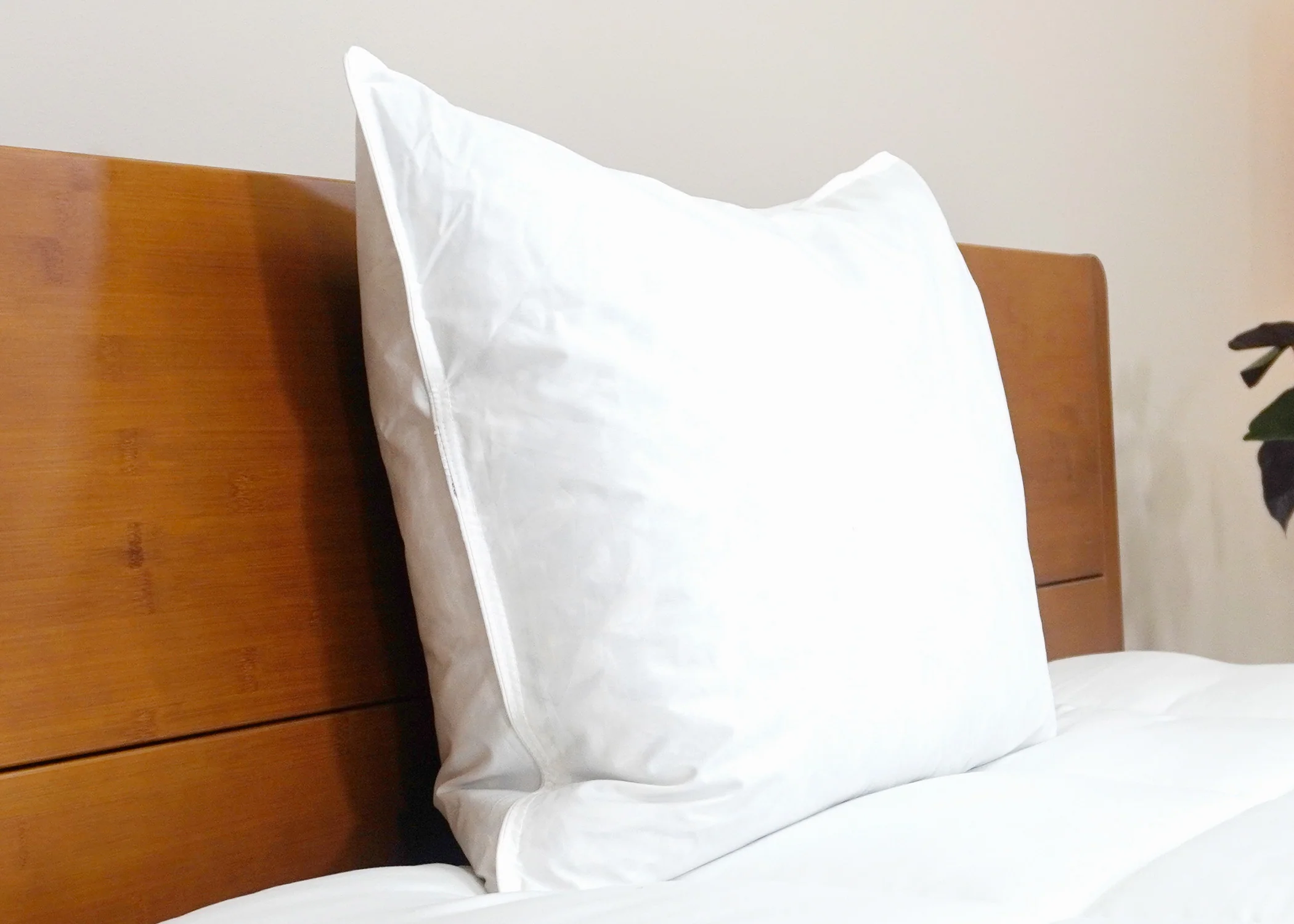 Pacific Coast® Natural Feather Pillow - Image 4