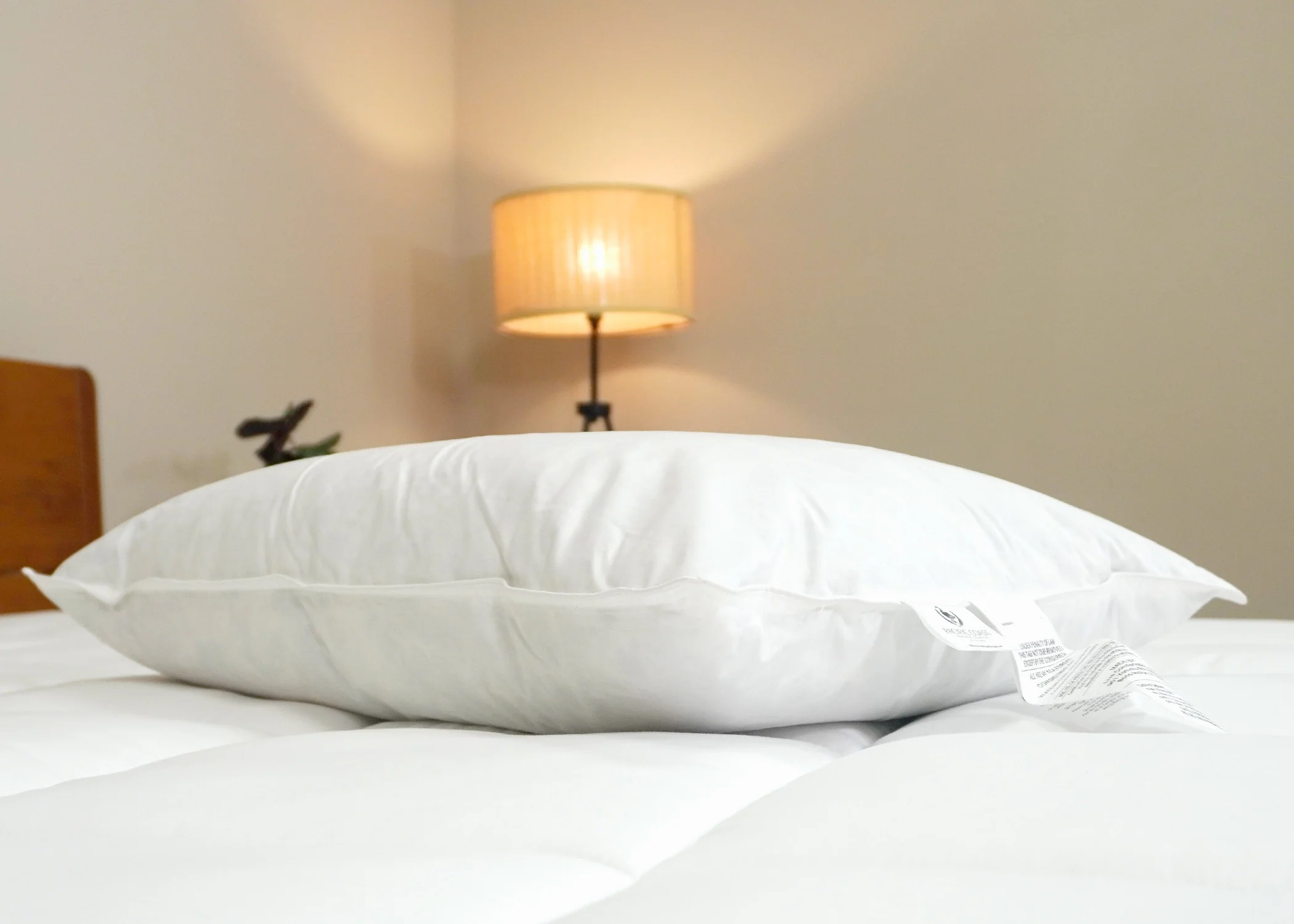 Pacific Coast® Natural Feather Pillow - Image 7