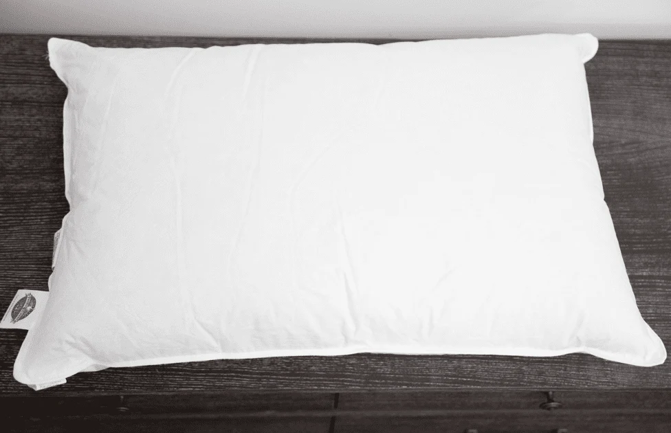 Pacific Coast Feather Double Touch of Down Pillow - Image 6