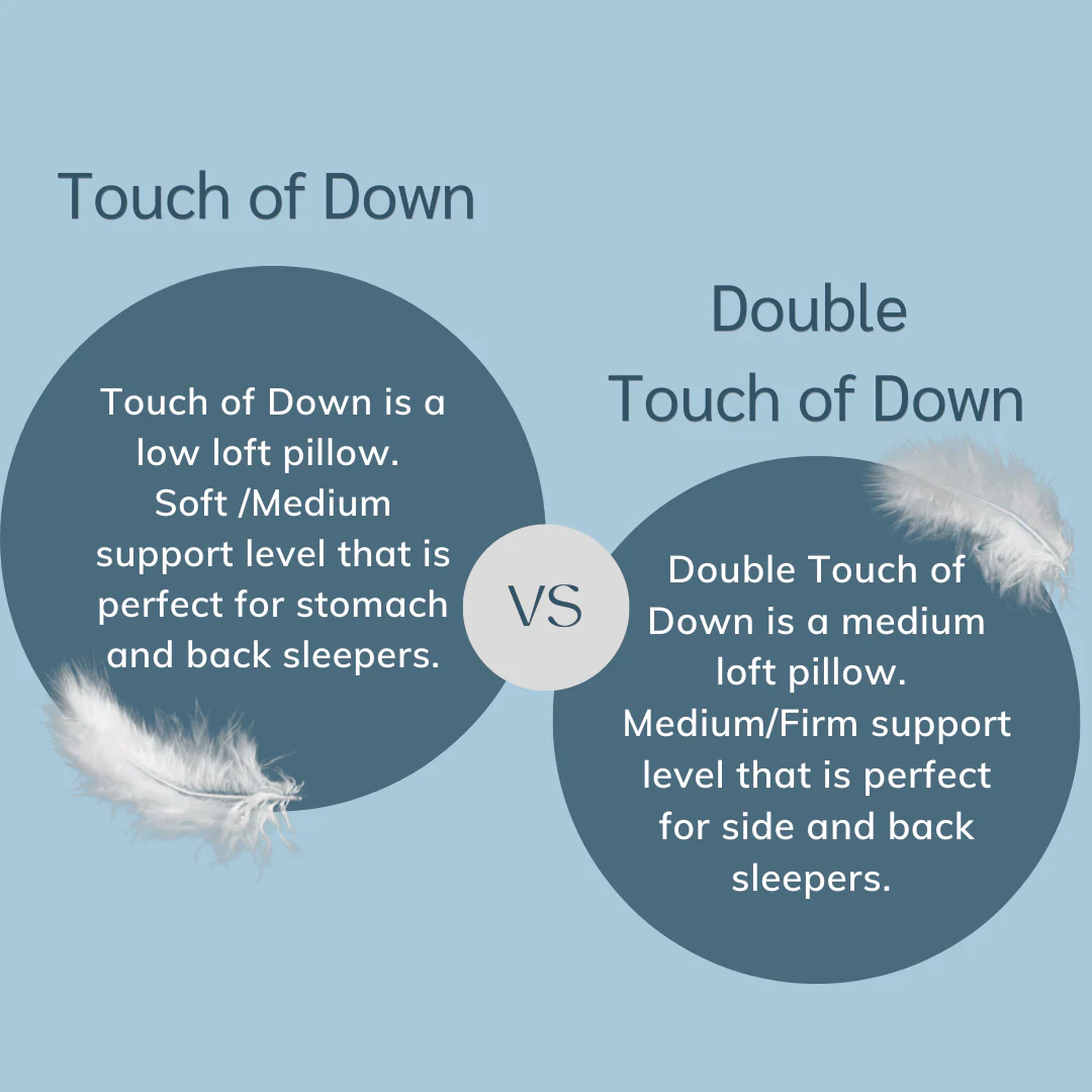 Pacific Coast Feather Touch of Down Pillow - Image 7