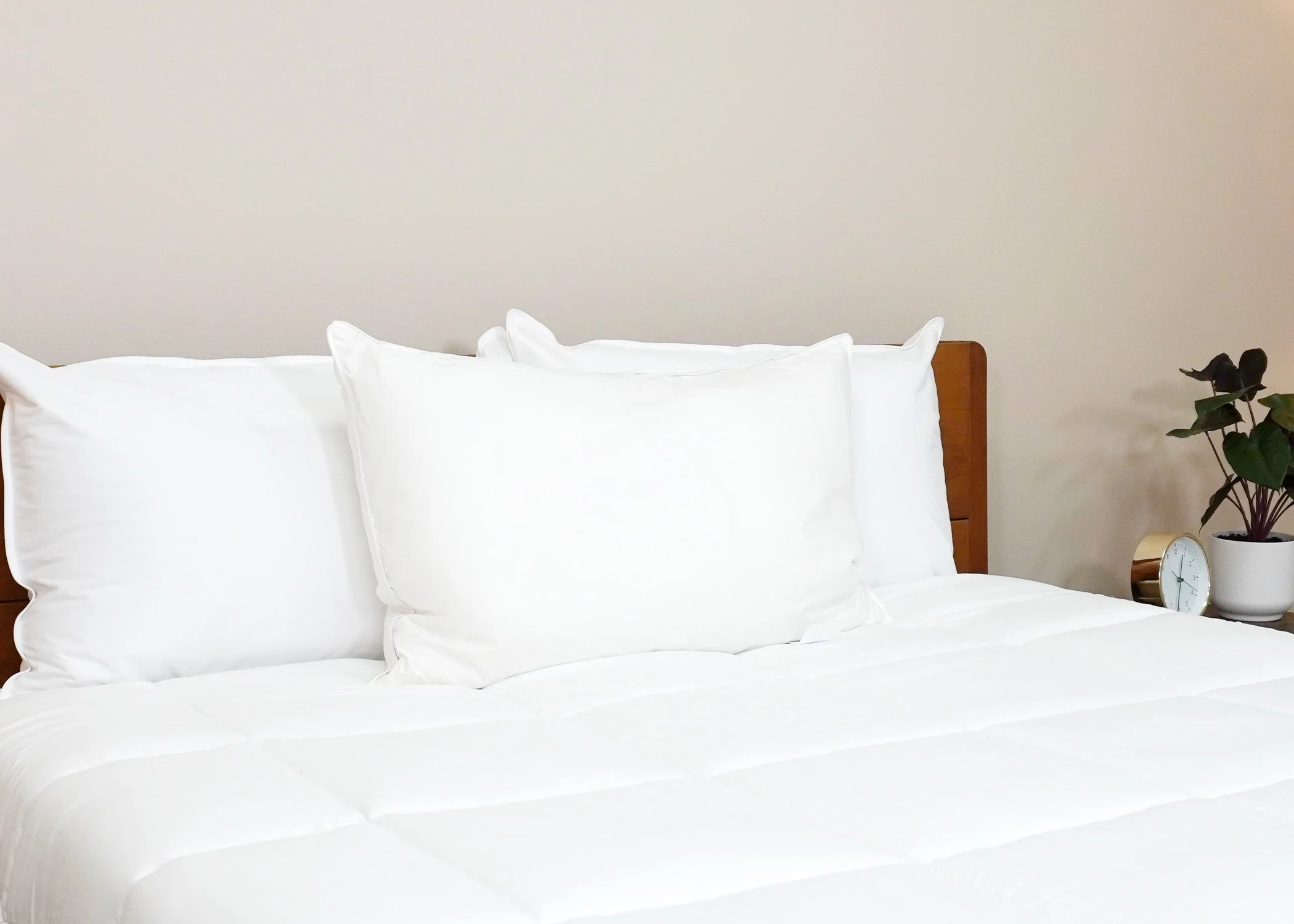 Pacific Coast Feather Tria Down & Feather Pillow - Featured at Many Ritz-Carlton® Hotels - Image 8