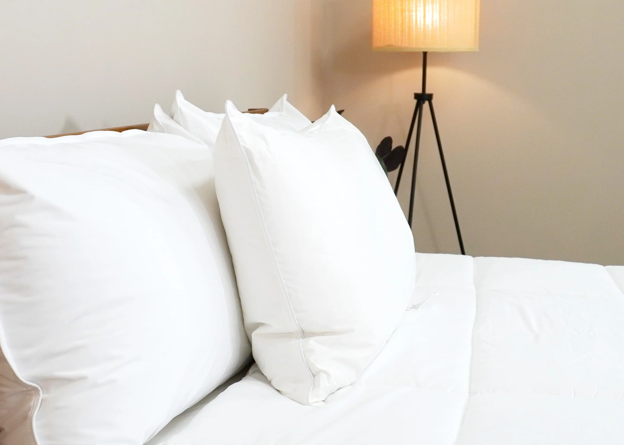 Pacific Coast Feather Tria Down & Feather Pillow - Featured at Many Ritz-Carlton® Hotels - Image 9