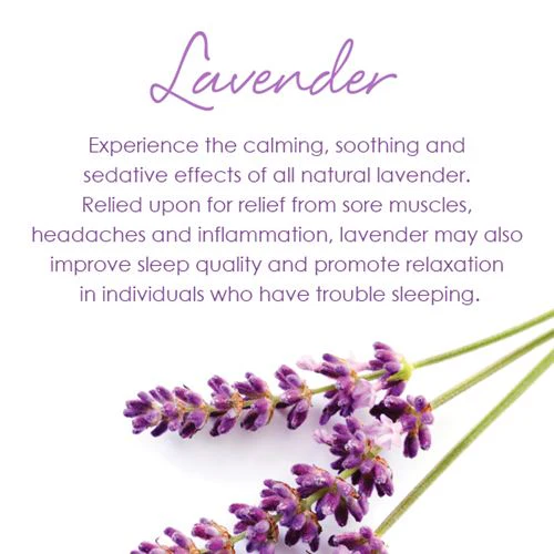 PureCare Aromatherapy Pillow Protector - Image 7