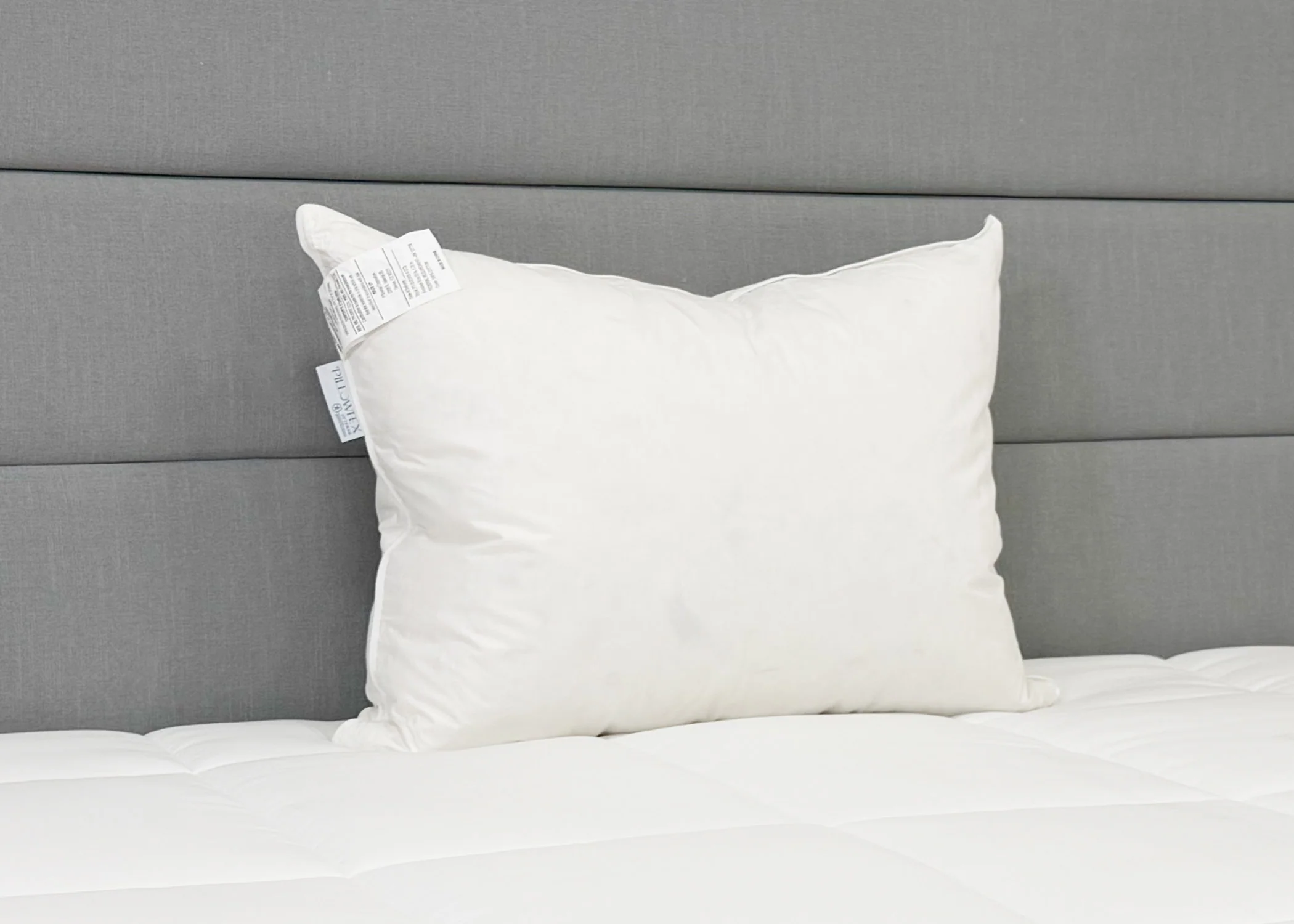 Pillowtex White Duck Down & Feather Pillow | 95% Feathers/5% Down - Image 3