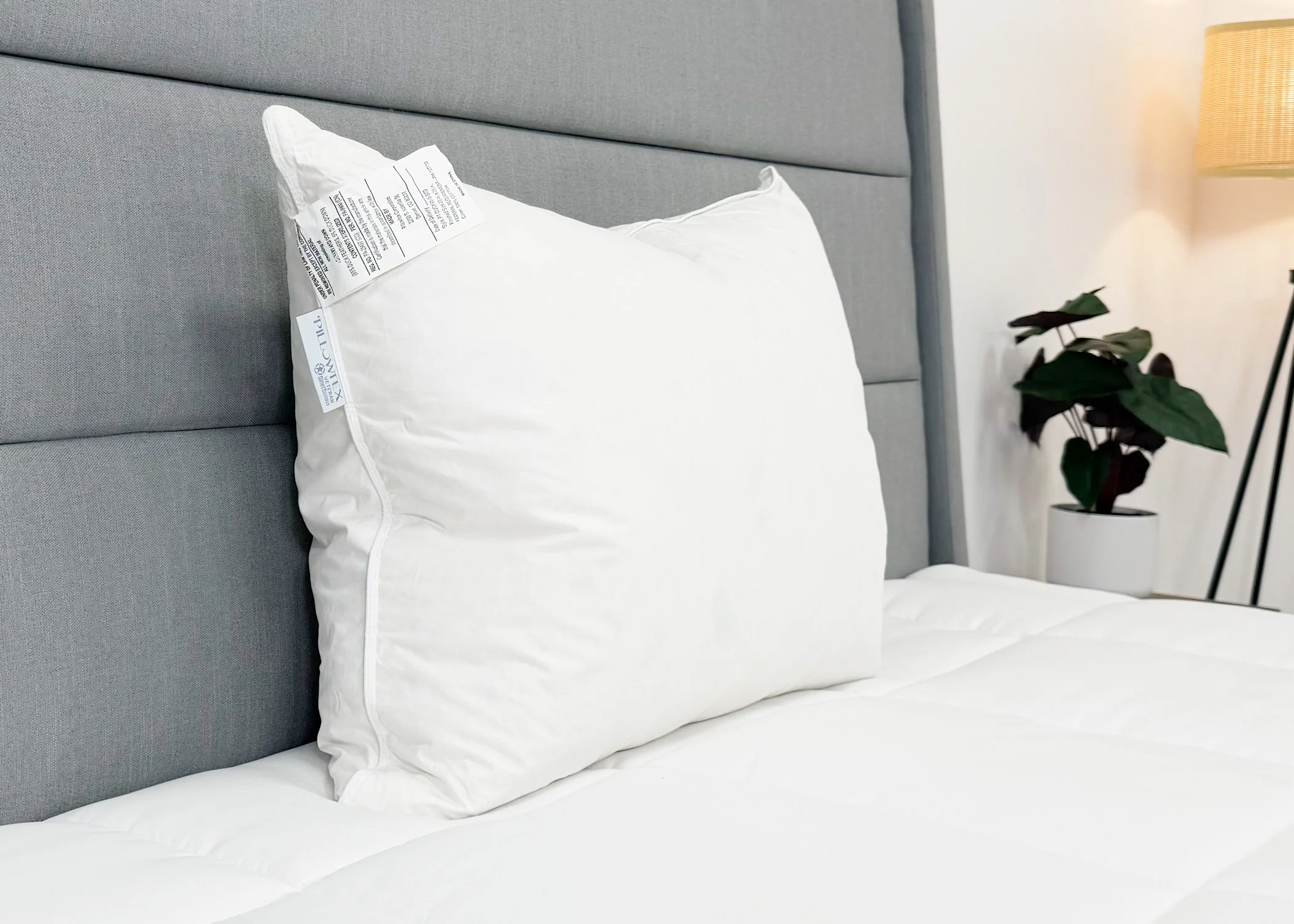 Pillowtex White Duck Down & Feather Pillow | 95% Feathers/5% Down - Image 5
