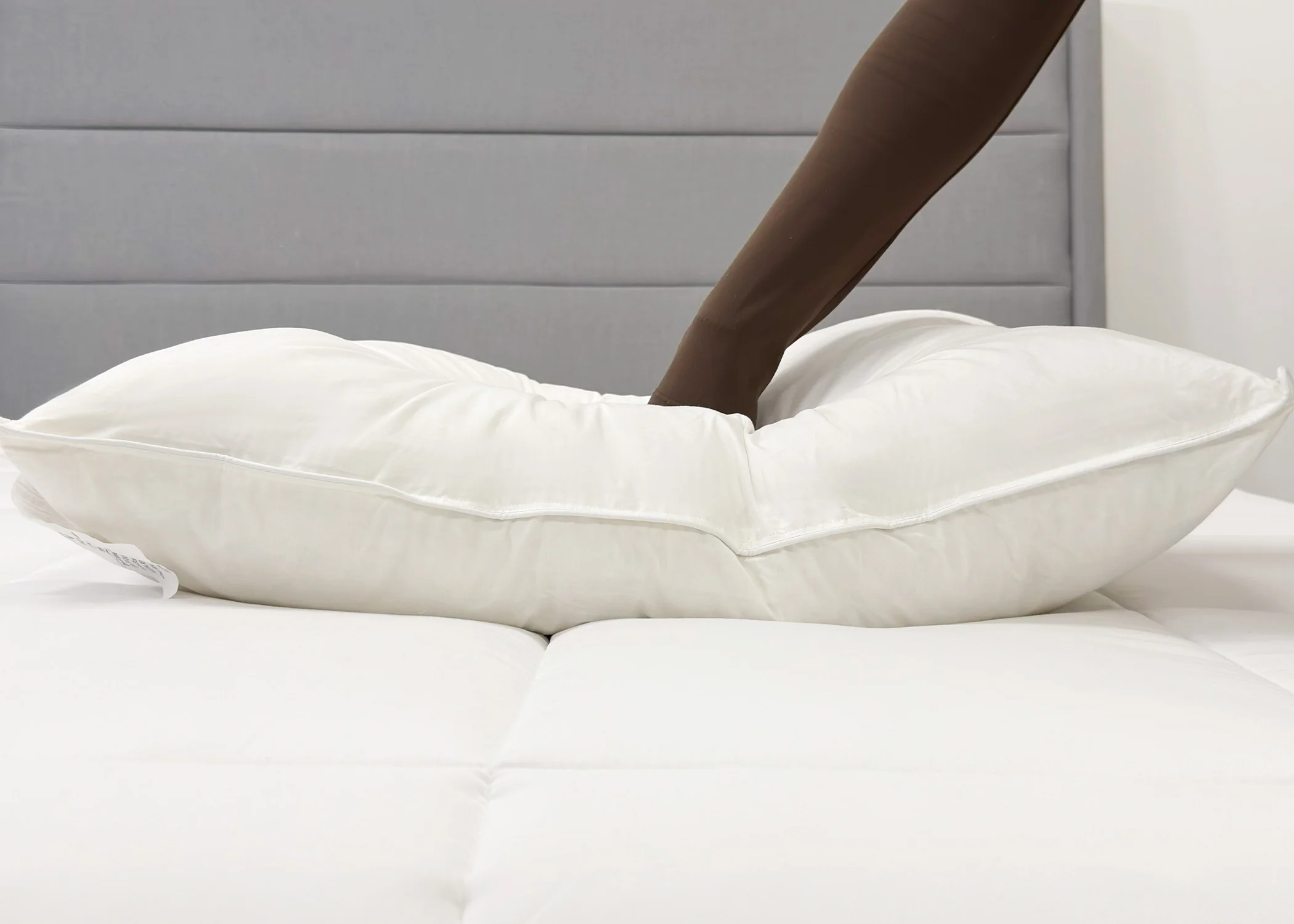 Pillowtex White Duck Down & Feather Pillow | 95% Feathers/5% Down - Image 6