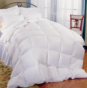 Pillowtex Classic Weight Feather and Down Comforter - Image 2