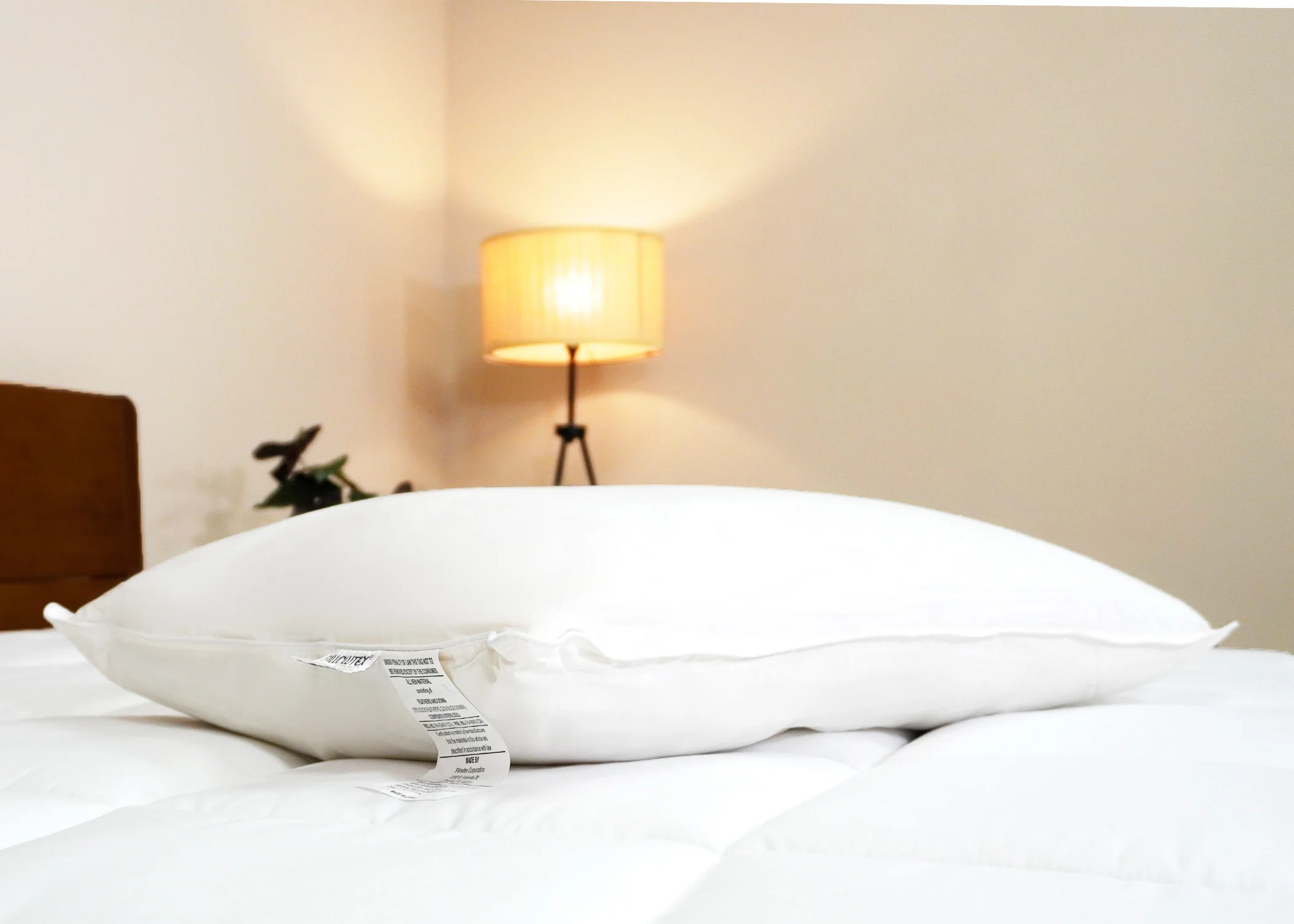 Pillowtex White Duck Down & Feather Pillow | 75% Feather/25% Down - Image 10