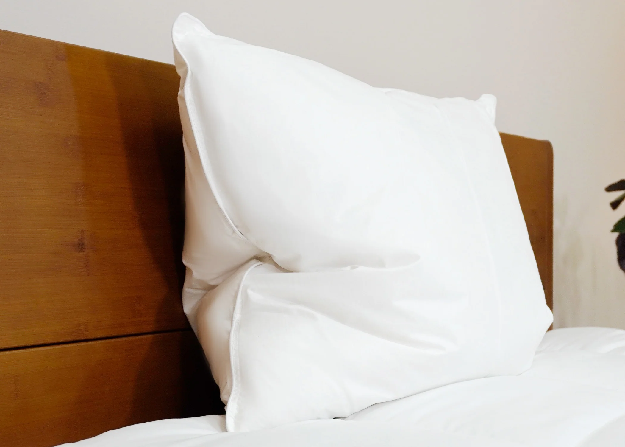 Pillowtex White Duck Down & Feather Pillow | 75% Feather/25% Down - Image 3