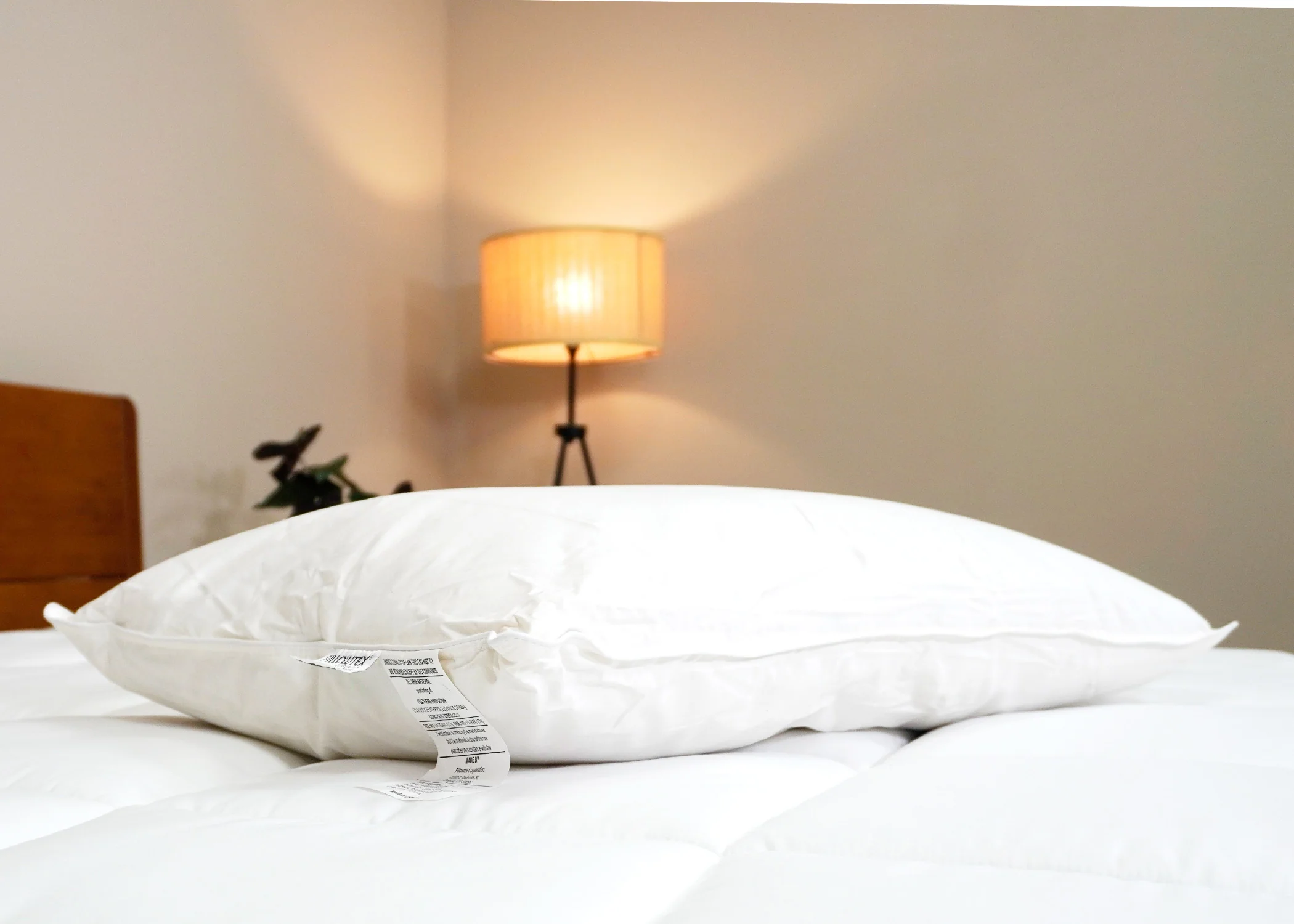 Pillowtex White Duck Down & Feather Pillow | 75% Feather/25% Down - Image 6