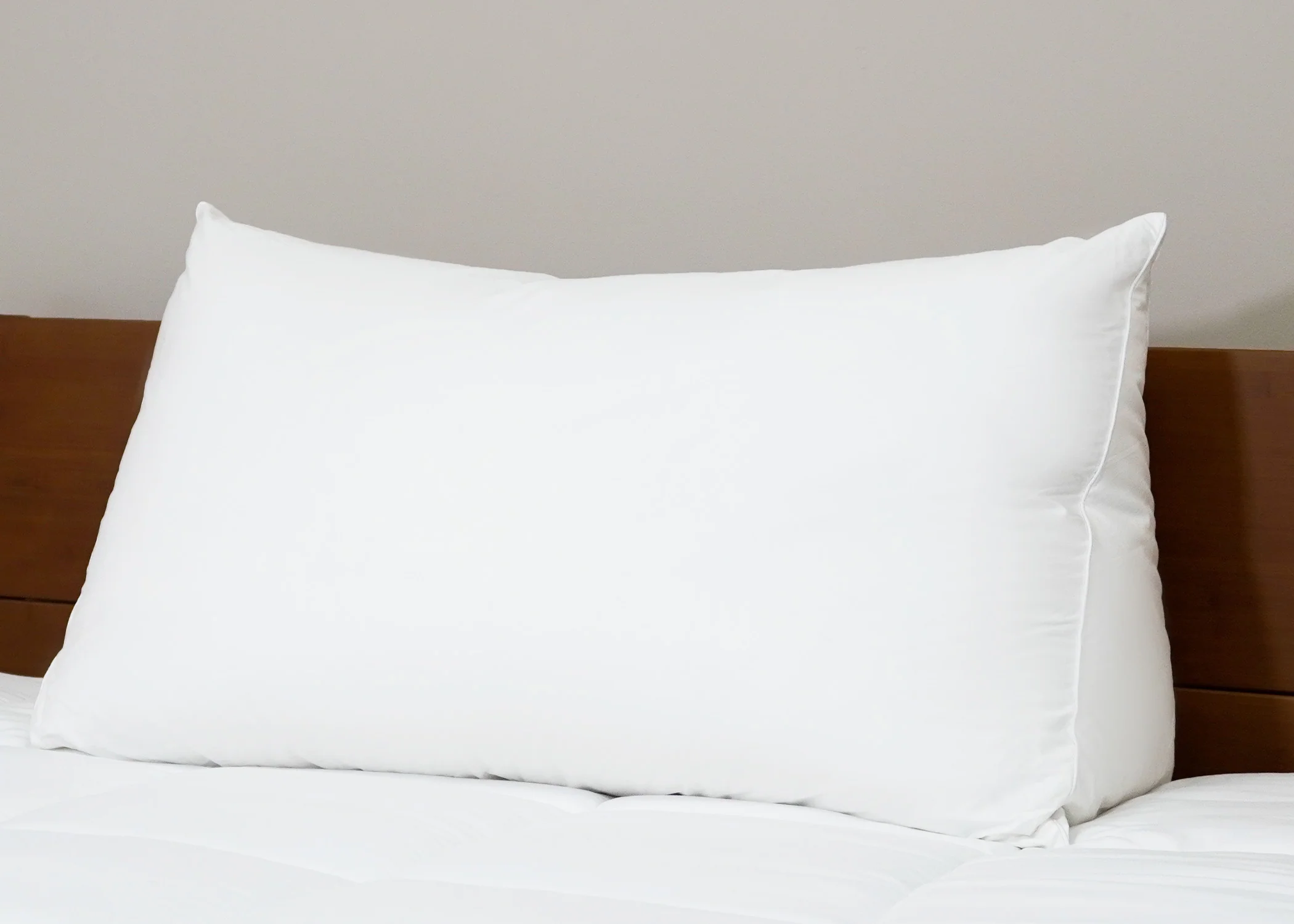 Pillowtex Reading Wedge Bed Pillow - Image 3