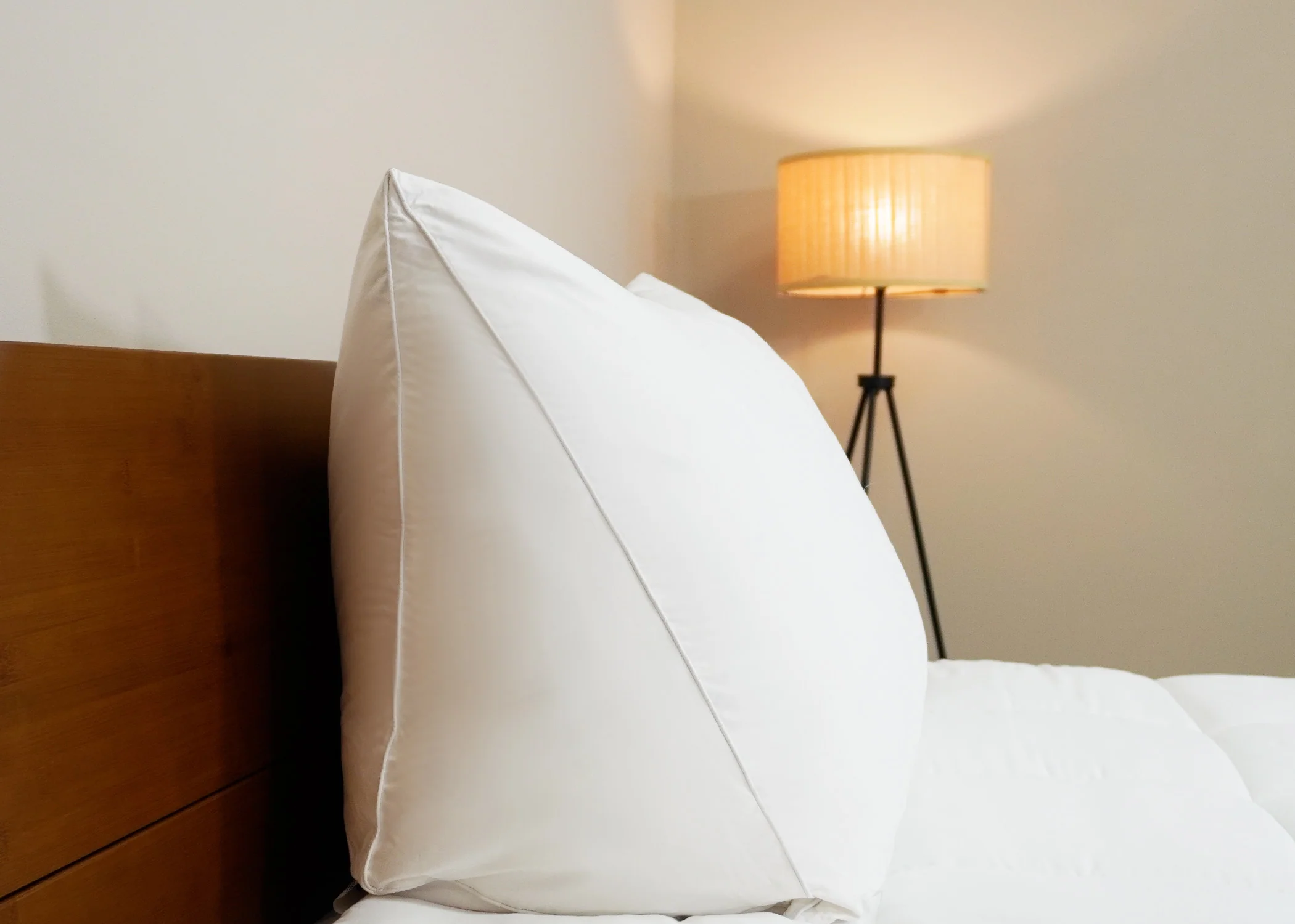 Pillowtex Reading Wedge Bed Pillow - Image 4
