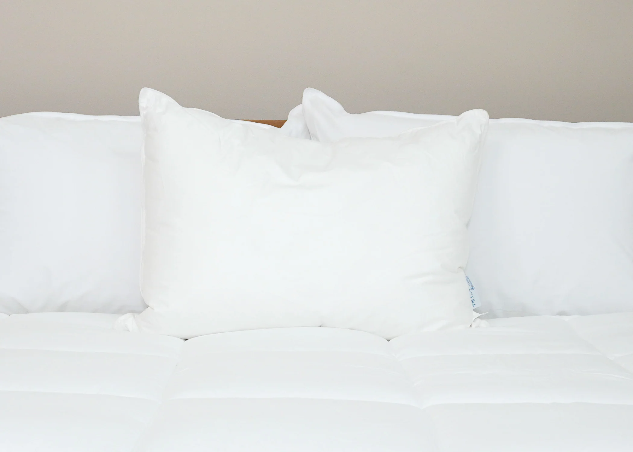 Pillowtex Kyoto Pillow - Half Buckwheat Half Polyester Pillow - Japanese Style Pillow - Image 3