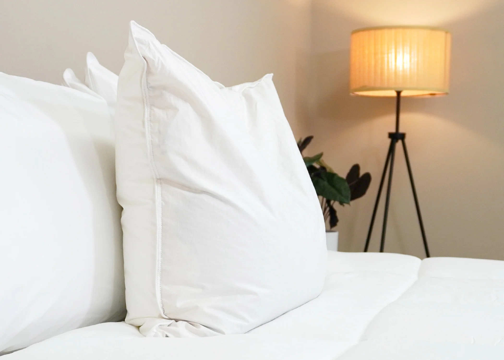 Pillowtex Kyoto Pillow - Half Buckwheat Half Polyester Pillow - Japanese Style Pillow - Image 5