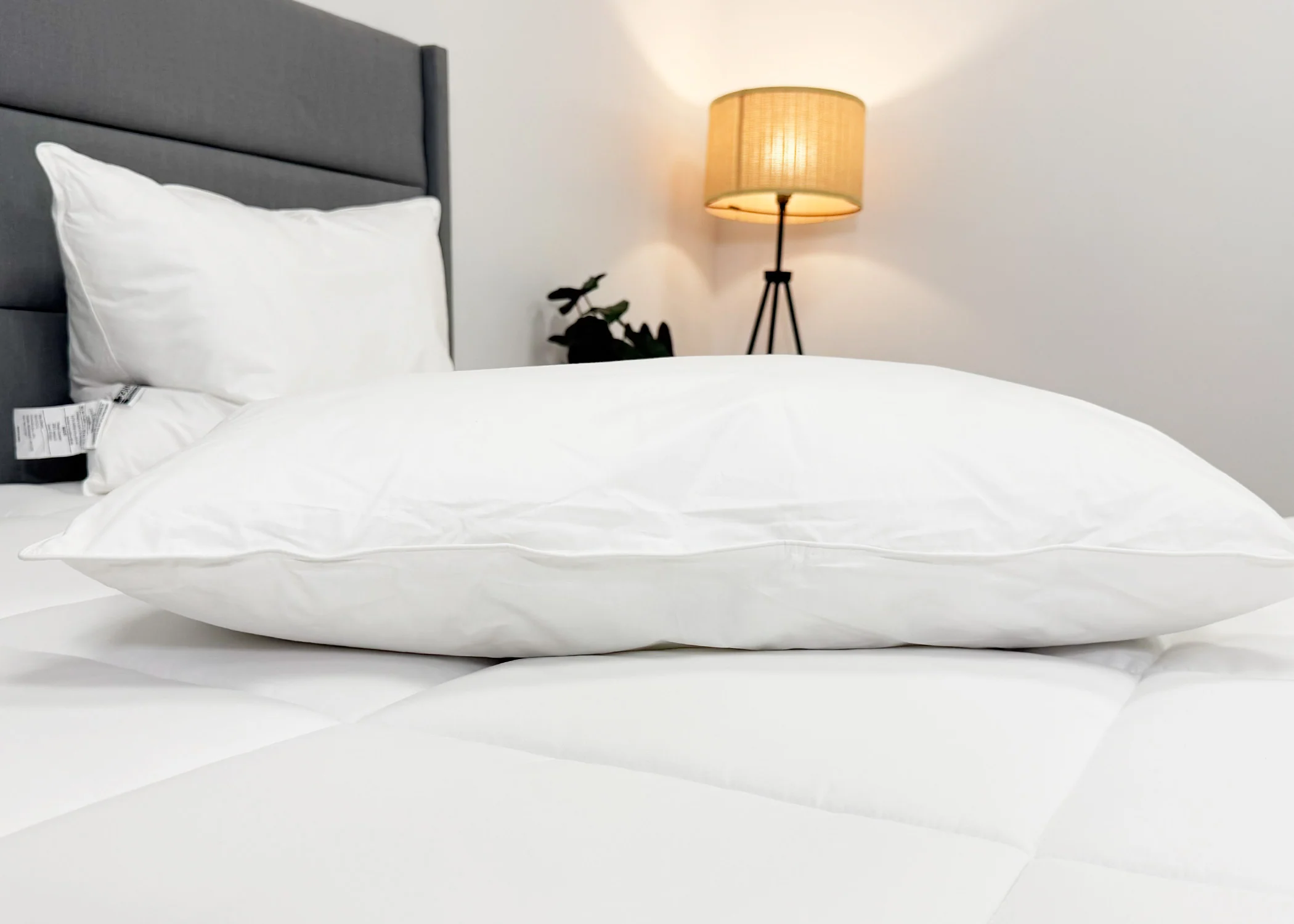 Pillowtex Conformance Pillow | Soft Support - Image 3