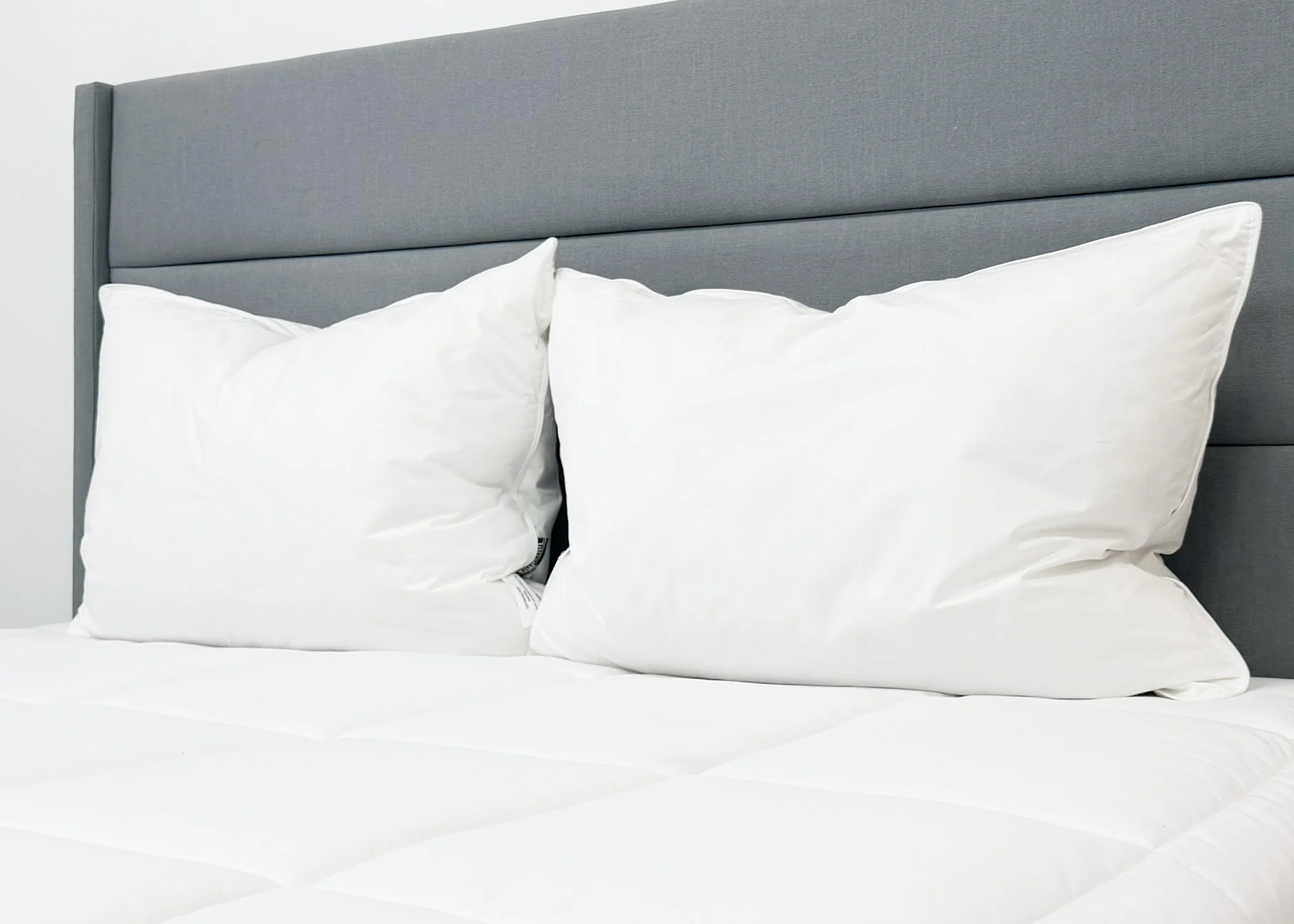 Pillowtex Conformance Pillow | Soft Support - Image 4