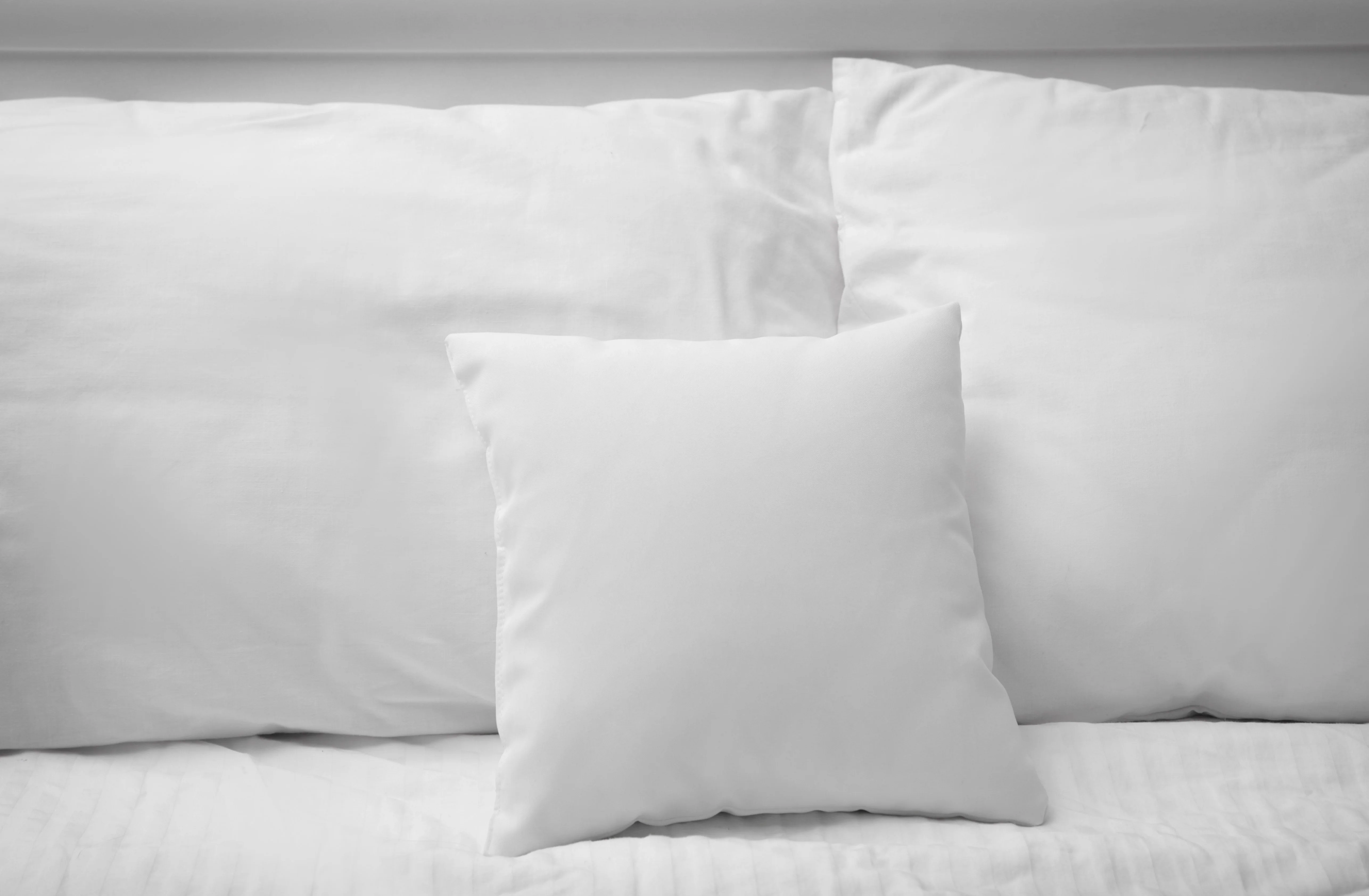 Pillowtex Pillow Insert | White Duck Feather & Down - Image 2