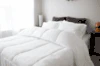 Pillowtex Essential Bedding Package | All Season Comforter with Matching Pillows - Image 3