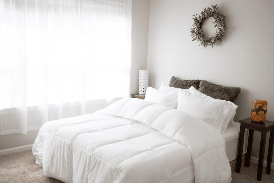 Pillowtex Essential Bedding Package | All Season Comforter with Matching Pillows - Image 6